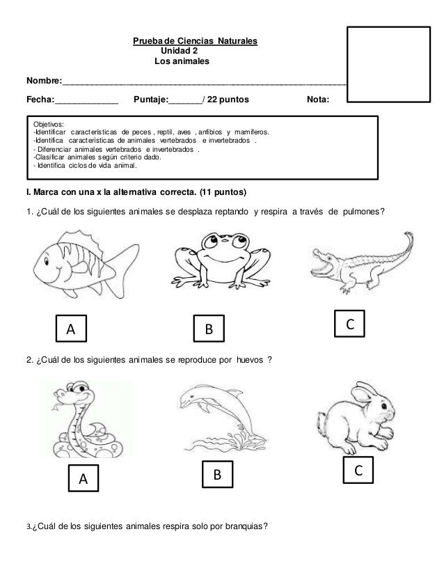 Prueba de ciencias naturales