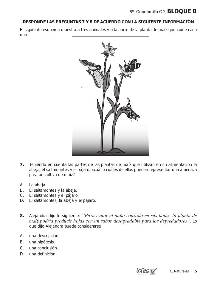 Resultado de imagen para pruebas saber naturales grado 8