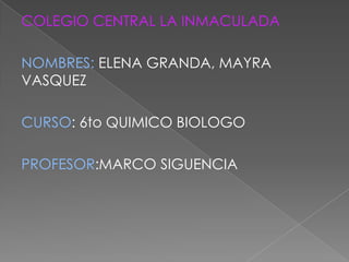 COLEGIO CENTRAL LA INMACULADA

NOMBRES: ELENA GRANDA, MAYRA
VASQUEZ

CURSO: 6to QUIMICO BIOLOGO

PROFESOR:MARCO SIGUENCIA
 