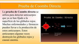 Prueba de Coombs Directa
La prueba de Coombs directa se
utiliza para detectar anticuerpos
que ya se han fijado a la
superficie de los glóbulos rojos.
Muchas enfermedades y fármacos
pueden llevar a la producción de
estos anticuerpos. Estos
anticuerpos algunas veces
destruyen los glóbulos rojos y
causan anemia.
 