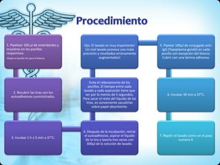 1. Pipetear 100 µl de estandardes y
muestras en los pocillos
respectivos.
•Dejar el pocillo A1 para el blanco.
2. Recubrir las tiras con los
autoadhesivos suministrados.
3. Incubar 1 h ± 5 min a 37°C.
4. Después de la incubación, retirar
el autoadhesivo, aspirar el líquido
de la tira y lavarla tres veces con
300µl de la solución de lavado.
Evita el rebosamento de los
pocillos. El tiempo entre cada
lavado y cada aspiración tiene que
ser por lo menos de 5 segundos.
Para sacar el resto del líquido de las
tiras, es conveniente sacudirlas
sobre papel absorbente.
Ojo: El lavado es muy importante!
Un mal lavado provoca una mala
precisión y resultados errónamente
augmentados!
5. Pipetar 100µl de conjugado anti-
IgG (Toxoplasma gondii) en cada
pocillo con excepción del blanco.
Cubrir con una lámina adhesiva.
6. Incubar 30 min a 37°C.
7. Repitir el lavado como en el paso
numero 4.
 