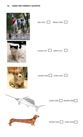 II) MARK THE CORRECT ADJETIVE
BIG DOG SMALL DOG
CLEAN CAT DIRTY CAT
SHORT DOG LONG DOG
LONG FISH SHORT FISH
SHORT DOG LONG DOG
 