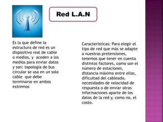 Red L.A.N 
Es la que define la 
estructura de red es un 
dispositivo real de cable 
o medios, y aceden a los 
medios para enviar datos 
y son: topología de bus 
circular se usa en un solo 
cable que debe 
terminarse en ambos 
extremos 
Características: Para elegir el 
tipo de red que más se adapte 
a nuestras pretensiones, 
tenemos que tener en cuenta 
distintos factores, como son el 
número de estaciones, 
distancia máxima entre ellas, 
dificultad del cableado, 
necesidades de velocidad de 
respuesta o de enviar otras 
informaciones aparte de los 
datos de la red y, como no, el 
costo. 
 