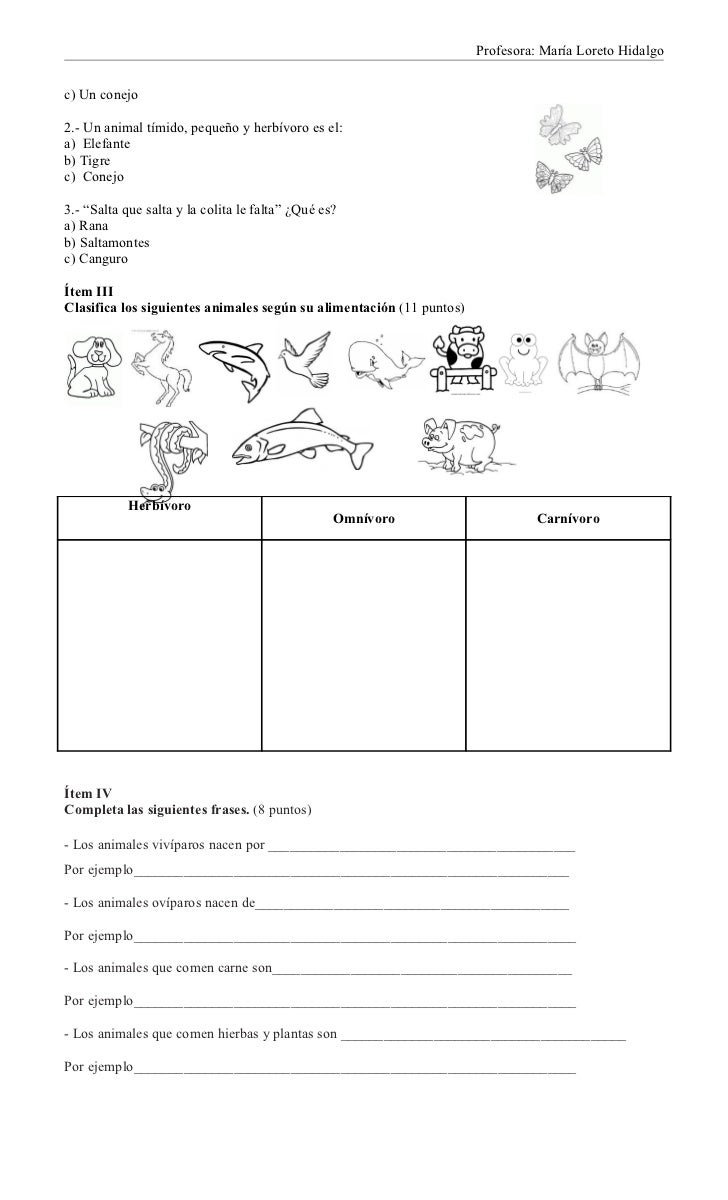 Creacion Astrid Animales Viviparos Y Oviparos