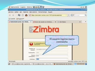 El usuario ingresa nueva contraseña