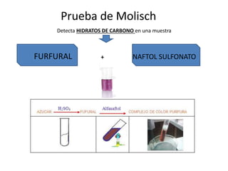 Prueba de molisch | PPTX