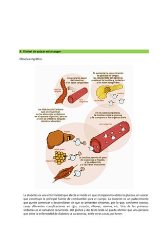 4. El nivel de azúcar en la sangre
Observa el gráfico.
La diabetes es una enfermedad que afecta el modo en que el organismo utiliza la glucosa, un azúcar
que constituye la principal fuente de combustible para el cuerpo. La diabetes es un padecimiento
que puede comenzar a desarrollarse sin que se presenten síntomas, por lo que, conforme avanza,
causa diferentes complicaciones en ojos, corazón, riñones, nervios, etc. Uno de los primeros
síntomas es el cansancio recurrente. Del gráfico y del texto leído se puede afirmar que una persona
que tiene la enfermedad de diabetes se caracteriza, entre otras cosas, por tener:
 