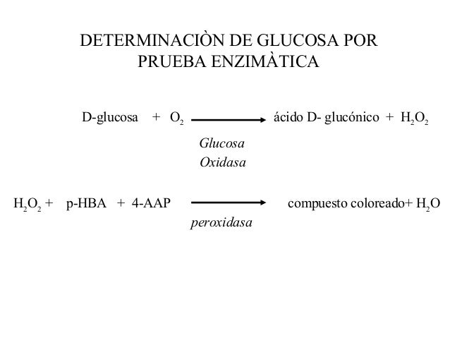 Prueba de tolerancia a la glucosa (fisiologia) Prueba de tolerancia a la glucosa (fisiologia)