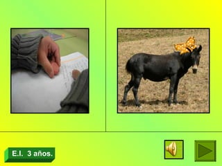 E.I.  3 años. 