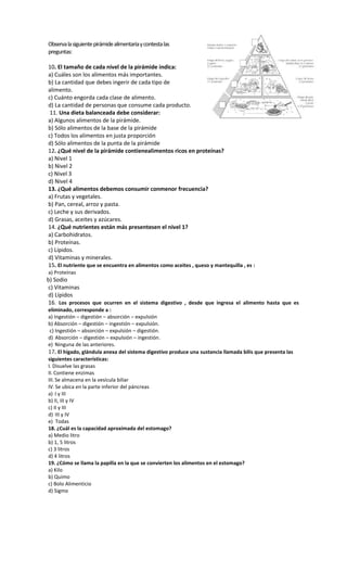 Observa la siguiente pirámide alimentaria y contesta las
preguntas:

10. El tamaño de cada nivel de la pirámide indica:
a) Cuáles son los alimentos más importantes.
b) La cantidad que debes ingerir de cada tipo de
alimento.
c) Cuánto engorda cada clase de alimento.
d) La cantidad de personas que consume cada producto.
 11. Una dieta balanceada debe considerar:
a) Algunos alimentos de la pirámide.
b) Sólo alimentos de la base de la pirámide
c) Todos los alimentos en justa proporción
d) Sólo alimentos de la punta de la pirámide
12. ¿Qué nivel de la pirámide contienealimentos ricos en proteínas?
a) Nivel 1
b) Nivel 2
c) Nivel 3
d) Nivel 4
13. ¿Qué alimentos debemos consumir conmenor frecuencia?
a) Frutas y vegetales.
b) Pan, cereal, arroz y pasta.
c) Leche y sus derivados.
d) Grasas, aceites y azúcares.
14. ¿Qué nutrientes están más presentesen el nivel 1?
a) Carbohidratos.
b) Proteínas.
c) Lípidos.
d) Vitaminas y minerales.
15. El nutriente que se encuentra en alimentos como aceites , queso y mantequilla , es :
a) Proteínas
b) Sodio
c) Vitaminas
d) Lípidos
16. Los procesos que ocurren en el sistema digestivo , desde que ingresa el alimento hasta que es
eliminado, corresponde a :
a) Ingestión – digestión – absorción – expulsión
b) Absorción – digestión – ingestión – expulsión.
 c) Ingestión – absorción – expulsión – digestión.
d) Absorción – digestión – expulsión – ingestión.
e) Ninguna de las anteriores.
17. El hígado, glándula anexa del sistema digestivo produce una sustancia llamada bilis que presenta las
siguientes características:
I. Disuelve las grasas
II. Contiene enzimas
III. Se almacena en la vesícula biliar
IV. Se ubica en la parte inferior del páncreas
a) I y III
b) II, III y IV
c) II y III
d) III y IV
e) Todas
18. ¿Cuál es la capacidad aproximada del estomago?
a) Medio litro
b) 1, 5 litros
c) 3 litros
d) 4 litros
19. ¿Cómo se llama la papilla en la que se convierten los alimentos en el estomago?
a) Kilo
b) Quimo
c) Bolo Alimenticio
d) Sigmo
 