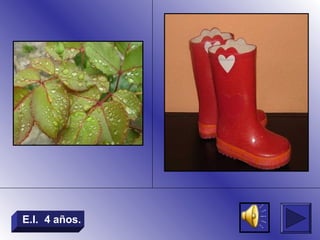 E.I. 4 años.
 