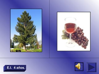 E.I. 4 años.
 
