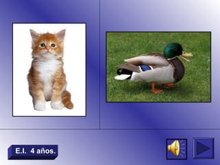 E.I. 4 años.
 