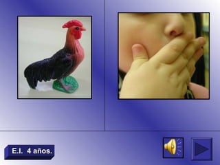 E.I. 4 años.
 
