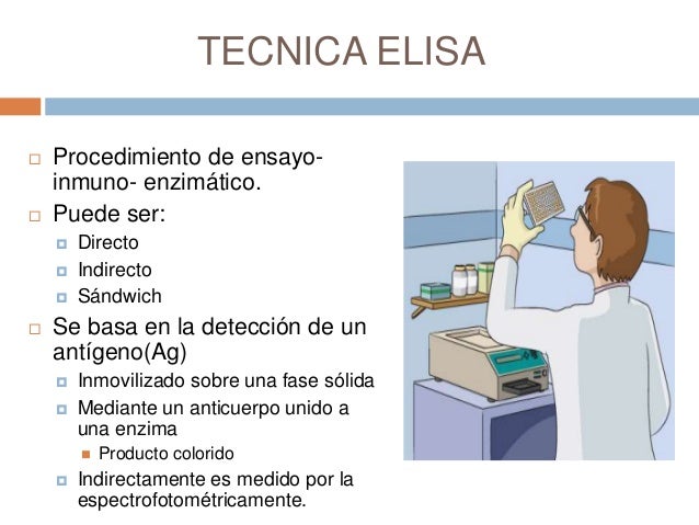 Prueba elisa