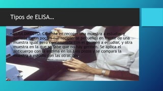 Tipos de ELISA…
• ELISA DIRECTO: Consiste en recoger una muestra a estudiar y
ponerla en un pocillo (un recipiente pequeño) en frente de una
muestra igual pero contaminada con el germen a estudiar, y otra
muestra en la que se sabe que no hay germen. Se aplica el
anticuerpo con la enzima en los tres pozos y se compara la
muestra a estudio con las otras dos.
 