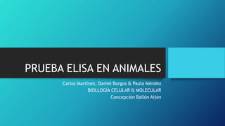 PRUEBA ELISA EN ANIMALES
Carlos Martínez, Daniel Burgos & Paula Méndez
BIOLLOGÍA CELULAR & MOLECULAR
Concepción Bailón Aijón
 
