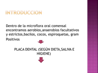 Dentro de la microflora oral comensal
encontramos aerobios,anaerobios facultativos
y estrictos,bacilos, cocos, espiroquetas, gram
Positivos
PLACA DENTAL (SEGÚN DIETA,SALIVA E
HIGIENE)
 
