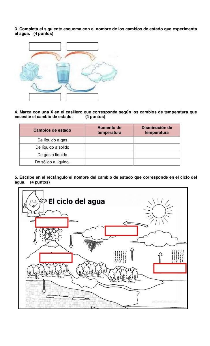 Ejercicios De Los Estados Fisicos De La Materia Material Colección