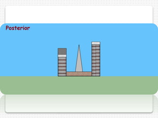 Prueba parcial. 5to. Sketchup (1)