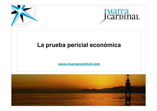 Informes periciales económicos

        www.marcacardinal.com
 