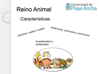 Reino Animal
   Características.



           Invertebrados o
           vertebrados
 