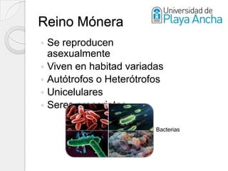 Reino Mónera
 Se reproducen
  asexualmente
 Viven en habitad variadas
 Autótrofos o Heterótrofos
 Unicelulares
 Seres procariotas

                         Bacterias
 