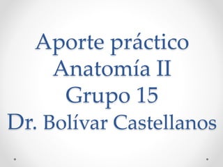 Aporte práctico
Anatomía II
Grupo 15
Dr. Bolívar Castellanos
 