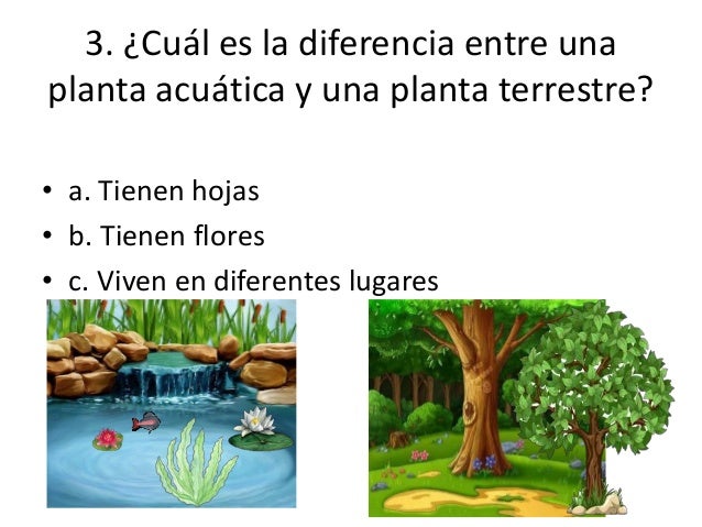 Pre Y Post Prueba De Ciencia 3ro