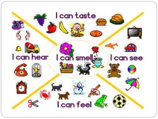 unit 3 science: the five senses