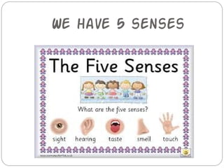 We have 5 senses