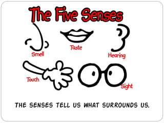 The senses tell us what surrounds us.