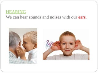 HEARING
We can hear sounds and noises with our ears.