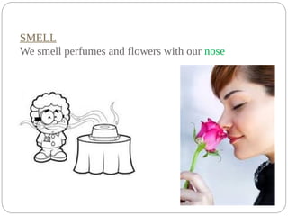 SMELL
We smell perfumes and flowers with our nose