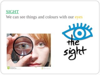 SIGHT
We can see things and colours with our eyes