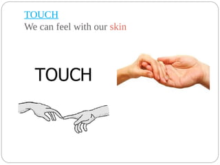 TOUCH
We can feel with our skin
