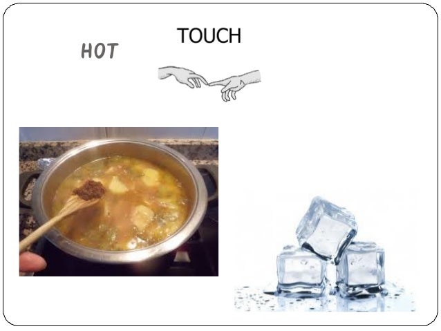 Is Hot Dog Is Salty In Senses Is Hot Dog Is Salty In Senses