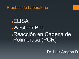 Pruebas de Laboratorio
ELISA
Western Blot
Reacción en Cadena de
Polimerasa (PCR)
Dr. Luis Aragón D.
 