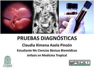 PRUEBAS DIAGNÓSTICAS
Claudia Ximena Asela Pinzón
Estudiante Ms Ciencias Básicas Biomédicas
énfasis en Medicina Tropical

 