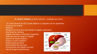 EL RANGO NORMAL es de 8 a 65 UI/L. (unidades por litro)
Un nivel elevado de GGT puede deberse a cualquiera de los siguientes:
•Consumo de alcohol
•Diabetes
•Bloqueo del flujo de la bilis desde el hígado (colestasis)
•Insuficiencia cardíaca
•Hígado hinchado o inflamado (hepatitis)
•Falta de flujo de sangre al hígado
•Muerte de tejido hepático
•Cáncer o tumor hepático
•Enfermedad pulmonar
•Enfermedad del páncreas
•Cicatrización del hígado (cirrosis)
•Uso de drogas hepatotóxicas
 