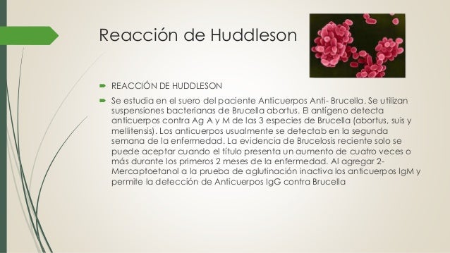 Pruebas- reacciones febriles