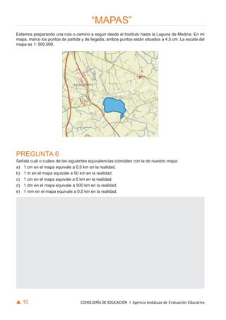 “MAPAS”
Estamos preparando una ruta o camino a seguir desde el Instituto hasta la Laguna de Medina. En mi
mapa, marco los puntos de partida y de llegada; ambos puntos están situados a 4,5 cm. La escala del
mapa es 1: 500.000.




PREGUNTA 6
Señala cuál o cuáles de las siguientes equivalencias coinciden con la de nuestro mapa:
a) 1 cm en el mapa equivale a 0,5 km en la realidad.
b) 1 m en el mapa equivale a 50 km en la realidad.
c) 1 cm en el mapa equivale a 5 km en la realidad.
d) 1 dm en el mapa equivale a 500 km en la realidad.
e) 1 mm en el mapa equivale a 0,5 km en la realidad.




s 10                              CONSEJERÍA DE EDUCACIÓN I Agencia Andaluza de Evaluación Educativa
 