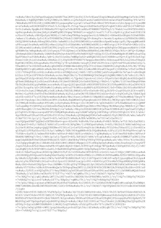 +
5BniYy3kPqs4haQymiUehBU7helKFVjGofkj53vfrELee50spLOWxghaGSUxpMqpIeTzkn1FWj
Kd
t9qEKQVTW8/LT8y59M0u1h/MK6triyFx9duUtwzXJlmEkVS0h4+mvw1PLbFVnmH8q/P9/wCYr
/Wd
K893GlG8jjhEMcHMCOIysgasgHw+uyrwC/zfaxVFah+WnnC9F28nmtvrLSrJpspinItysnMN
x+sf
a6D4OK0AFOtVVa0/L3z1Bps9tJ53up7mayntRdPGeSzSTpLFcqA4CtHGroAP5h147hWP6d+
Vv5t2
9pqWnf439BXeNrPVI4pDIeTvNcN9VEixREu4T4WNRU7E4VTq3/L78xbS/nu086TXVv6N2l
vp8kcg
XnLbejbEytLKwMTgSM1DVqmg7BUBdfln+aQg52/nud7l7iF3icSpEttyjEsCsshY0X1CH
oJGoo5C
rNhVQuPyd/MSRLiI/mFcSwyTNPbpJaqnpSer6iSJ6MkSh1+XHkeXGoGKqkn5SfmR9XBt
/wAwri31
Jyfrl8lsT9YHBETmjTGnAI1OBFOX3qp3F+XnmyPz+/mcebJlspAkculLF8EkUXrGNXL
O60Q3B4hV
H8xq2BUu0X8r/wAwNO1i0u288SSWUd6Lu+shbOBcoSpeN2adqcipPL/KpuqqMKomX8
uPPcuopO3n
m8S0EjvNaojL6gIYIoYSAxhWo/w9SWH2eAUKllr+WH5stpi293+YVxFd+tMZriGIu
ZIlMiwcebUi
Z0dTIACFKjjvyZirv+VU/mlxmkH5j3BvZomja4+q0APqSOrCNZggosnAbbVr1VOK
qP8AMv5e/mNq
d5Ilh5yeysJ7VYJQYmejrCkTEReoB8bK8nLlWrFW5DiVVQo/Kfz+jW7Q+fLhWgt
jBvbmgkZEX1UA
lHAK68xGPhOyn4dsVTOz8hfmBDYSQT+dZZp31C2u45hAwMdpAtHtBWVuSuaVZq
kgfFUmoCta55A8
/wB+Lj6n51nsGku7mWEpCx42twXKQECUDlDzUI4HRRtucVQ+tflp591DzFJqc
Pnee1tGhjhisUik
URkRxrJIjJOg5O8VTVSKE7V3wqgLn8mvON5c3SXnnaaXTb5JoL2D6ufVmgZZ
EgR5WlYH0RL3Uhup
FScVTXQ/y78+afd6bNc+eLq9jtPXF1HJFtOrxlIQV5+mPTZuX2d9sCoOy/L
T8wdN0rU7e184SXFx
qEkDRK6vFHBW+We6dHDyTFpITIv26kmlVABBVR1L8qPzMuZJVh/Mi7FtNy
EkM9pHKCCrqNleMDd+
RA+H2oqjFU38u+R/NHl22uWuvMR1KzaK59ayeFljUSKXUw/vTxf1eTMz8
i3I17UVegYFdirsVdir
sVdirsVUNQ2sLkj/AH0//ETirDfM2jahFoukyeWtGs7m7ae3+uRvDbgN
blDzrJJ9jelSFY9hSvIK
sckn/MqSCBk/L/ToG9KKW4QC0kfmLpUlhQNMiVMHJlJb7sKoi0l/MJ1
ga58gaZFzhZp+BtmZJVnC
KApkUMHi+L7Qp4mlCqnnk+x1i6vL+38yeVrGxt4EgNjdokDGZnQmZS
qF6em1BXbAqc6joGhLeaUF
061Ae6YOBDGKj6rOaH4fEA4qj/8ADvl//q2Wn/IiP/mnFXmq6P8Am
Tb3kLNoGnXkLyyPwMdmixoz
SIqycQjEIqxuOLEtzNSOFGKFZZPzCX1fU8gaW4E0ccRja2B9J42Z
pCGk/ZcopFa/aO+2KUPaWn5j
zeVruO78rWVrrduNNFtdJFZO84kYC/b0+TRBo1BI6VrsNsVRFnF
+YJv4o5vJumi09WaEyMlrUxRl
THO5Ei8WkHIcVTrv0xVoN+YE1gJh5F0+2ugVf6uUtZC6+vxKFj
MoVmj+LuF68j0xVTnf8x5NOEkP
kLToLiaYxCM/VTJDEeY9Y1kZCw+FuO/cYq9CsPL2k/Ubb63pd
oLv0k+sD0If7ziOf2Vp9rwwKxzX
9BujYasnlzTbNtU/SNpHEZIoAqQMlt67VdJAoWNnb7Deyk7Y
qk1vH+Yguksp/JelOkRkim1NVt1S
XgwWOeOIyFgsgbnxbcUI98KrXi/MCXyrqDr5N0+DW1hjSxI
jtCTM6yB34GRozxKxt8TCnMijcDyV
RYXzp+j0c+RtNF5+k/q0kYeA00/iP9JGwBbkaU+njiqRNF
+a0ugxWq+TrGHVPq1sz6kEseRnFwq3
CmJmaNSYgx2BHccTRcVRpg/McRRwnyhp/MXE8ctyI7Nm+
rATCKenqBS/2CIwu9N2HL4VUdp2j+e7
/Rby2n0DSdG1WKO1NjeTxw3CSMS4uBIIgw5LwU1CgNy2
p1CqZ6fo91HpuozavpsEF5Fcf6MyW9qk
aqJz6bW7xFpCpj4H95Rq/cFDOcCXYqhtU/45t3/xhk/
4gcVROKuxV2KuxV2KuxV2KofUlVtOulYA
qYZAQdwQVOKoCw8vaAbG2J0y0JMSVPoR/wAo/wAnFV
f/AA75f/6tlp/yIj/5pxV3+HfL/wD1bLT/
AJER/wDNOKu/w75f/wCrZaf8iI/
+acVQGpeX9BF7pQGm2oDXTBh6Ee4+qzn+X2xVH/4d8v8A/Vst
P+REf/NOKu/w75f/AOrZaf8AIi
P/AJpxV3+HfL//AFbLT/kRH/zTirv8O+X/APq2Wn/IiP8A5pxV
3+HfL/8A1bLT/kRH/wA04qlus
2ui6e9lHD5ejvpbycQgQ28XGNerPI5XioCjv1xVLfLvkq5tdc1W
fVILO4sJ5HazUIjji0zvHSIx
qIfSgZIiFY8yOZocVZJ/h3y//wBWy0/5ER/804qgNN8v6Cb3VQdN
tSFulCj0I9h9VgP8vviqP/w
75f8A+rZaf8iI/wDmnFXf4d8v/wDVstP+REf/ADTirv8ADvl//q2W
n/IiP/mnFXf4d8v/APVstP
8AkRH/AM04q7/Dvl//AKtlp/yIj/5pxV3+HfL/AP1bLT/kRH/zTiqC
1nQtEi06WWLT7aORCjI6w
xqwIdaEEDbFU9xV2KobVP8Ajm3f/GGT/iBxVE4q7FXYq7FXYq7FXYqo
ah/vBc/8Yn/4icVecXGj
/nJJqGpy6bqNjHo11BEdHikklEkUiW4CiWkbUiMgqwjo1T1oKEq3pOgf
nOmi6na6nq1tJcyyGfT
JopSJULXon4PL6IHwxckPwFKcVCgA8lXQ6Z+fAmtJZ9T01pFl4Xqx7W7Q
CZX5pEYDIJGjJj/vKC
leuKqM2jfn9JPZFtW0toLeX1J+BeKSRODqFHGLgXBY/bUp9g8aq3JVk+iR

+b410/8AxTLayXzalK0H1OpjWA2UtFLFI6/vOfH4a8eINTU4FZZirGvO2l+aL+C3XQrj0WT1RKou

;HtSHZKQy80SQusbVrEaBq9dsVSaDQ/zOXTr20vNShvFM0cltJFM9rPJH9YkaWMzJGTD+5MYXiD0p&#x
A;tWuKrLfQfzWhlv4m1iCW3u7e6FvM7EvBKXlNsF/djtIlX7UpxO1CrWl6F+aFp5jguzqEbaC8rLLp&#
xA;k1y9zJFA0VkKiZ4laV+cFz1IpzrU1IAVkPloajplv9V1+4DX93cyCCYzvMs5C8qoHRBDyVSRCpNK&
#xA;GhO+KshxV2Kpfpn+9ur/APMWv/UJBiqYYq7FUNqcd1Jpt3HZsUu3hkW3YMEIkKkIeRVwvxd+J+Rx

V575U8s/nDBc6fPrmvWzQw3rTX9qnqTma2MTIiLIRCE9P4fhCfE9WJ2AJV6XgV2KoDXv+OVP/sP
+
JjFUfirsVQ2qf8c27/4wyf8AEDiqJxV2KuxV2KuxV2KuxVD6iaafdHwif/iJxVAWGuWQsbYend
7R
J/x53X8o/wCKsVV/07Zf77u/+kO7/wCqWKu/Ttl/vu7/AOkO7/6pYq79O2X+
+7v/AKQ7v/qliqA1
LW7I3ulH07ra6Yn/AEO6H/HrOP8AfWKo/wDTtl/vu7/6Q7v/AKpYq79O2X+
+7v8A6Q7v/qlirv07
Zf77u/8ApDu/+qWKu/Ttl/vu7/6Q7v8A6pYq79O2X+
+7v/pDu/8AqliqjeataTW0kaR3KykVhd7G
6cJIN0fiYt+LUOKsC8vW35gW2sWtzqOqXJ0uOWNpt
PMN7cMUEMiSAzNbIW5TESDYUBC/sDCr0P8A
Ttl/vu7/AOkO7/6pYFQGm63ZC91U+ndb3Skf6HdH
/j1gH+
+sVR/6dsv993f/AEh3f/VLFXfp2y/3
3d/9Id3/ANUsVd+nbL/fd3/0h3f/AFSxV36dsv8Afd3/A
NId3/1SxV36dsv993f/AEh3f/VLFXfp
2y/33d/9Id3/ANUsVQWsaxaS6dLGsdyGcoAXtblF+2Or
NGFH0nFU9xV2KobVP+Obd/8AGGT/AIgc
VROKuxV2KuxV2KuxV2KqN6jPZzogqzRuFHiSpAxVL7P
WbSO0gjeK7DpGqsPqd1sQoB6RYqlXmyS+
1WytYdI1G90iaC7huJ5ksbtjLDESWg2RaCQ0qd9u2K
sF0Hy3+ZgisZdW83XkMkN6t1cWcNjfzqYV
cFrb1pFUurKv7S7ciNxTCr1X9O2X+
+7v/pDu/wDqlgVBX+rW8l1prpDdssNyzyn6ndfCpt5kr/df
zOBiqN/Ttl/vu7/6Q7v/AKpYq79O
2X++7v8A6Q7v/qlirv07Zf77u/8ApDu/
 