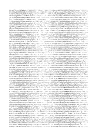 RhtwU7DcqoHW9
b/NDSZJ9UvYJDbQw8IzbRxyIizXEe/o/WF9SYKGG6UC7g1LKVVumax/zkBcWzS
XGmWUFyFWSGF1U
ROWdAI3f1A6j02LMeFQQdv2QqnTap5yvvJmpW93pV82uW7IsKwi3tml9SSqfF
6s0f7taNLxJ+Hp8
VQAqto0/m2882WFy6366PFY/Vr9LyKG3jN1A0ivcKI5nZmkcheBi40AZXp9p
VKLbUvzyTTYnuLC3
kv3SEtEEhCpK1tzZGIuKen9ZcRuwqQikqCcKs9ma+bT7Y3yRR3RuIfUSB2k
jH74U4syxsfhp+zgV
M8VdirsVdirsVdirsVdirsVdirsVdirsVdirsVdirsVSnzdpl9qvlPWtL0
+QQ39/YXVtaTMzIqTT
QskbFlBZQGYGoFcVYl5S0D82LPXLWbzDrMN/p6PcG7VGoGDxgR+nGIkp+
9+IBmag6e6qC0Dyx+au
n+YodU1bWbf9F+qZdViWZmEnG2jjeX44lVI2aNmSMU9P+Zq/CVQGr+QP
zWeZ00zWYX0qaDUkltnu
XjcvfzF4fTlWCQokYVGPXYMo+1XFVfV/LX5l6aZdSguG1OSKAQQLDOB
crHJcRM8MXK3crtHUvy3F
FI2DYqhbfyp+fi27SXPmm2hufSUW7uVMS3Elzb05x+k3ILbesnHmav
xp15Yqy2bTfPa6XocC3zpe
/pM/pJ0Kz001mkk9N5WWGrqiogk4fa7HrgVHTaT5kGq+Z57V1ij1C
yhj0mZriRyl1HFIpb0mUrEv
J1+wTWlaVOKsR1Dyd+cUtjd2cfmCGWO4FykZkkNV9S4YQszLCGZV
swsbIKVduXIFakqivzA8rfmV
qF/pUvl/VobC3sDAwd52j/eCK4gnT0/Rf1GmE8YRmccadAd8VTP
WdG/MqZdIGnapDFNBaRx38zvR
PrYWkkzxLF+/UtxIUNH0I6NgVhh0b82JriO00DUo0Ewa6vtWim
SW3djJJziZxEvKdo/SUSdgKcV+
1hQnOneWvzrtZ7ea512C9QKHngaUIDOL2V68hbf3RsRHEUCj4
yWFOO6lNfOflfzrqmrRX2h3MOnX
QtYEgvnnlYWs8UryS/6OE4XCTIwibkV2+LqAMCpvoFl5isvK
9hbeYboXmqpcp604YNVTcVQcgsda
IQOn34qybFXYq7FXYq7FXYq7FXYq7FXYq7FXYq7FXYq7FXY
q7FUr818P8L6vzvhpkYs7gvqJXkLd
RExaYr34D4sVeeW/5ca3a6I9sPOis0krRrqUiu0gDQSW/o
LW49P90H5Rjjs1eQbCqAj/ACmu006/
tpvOwvGuoo4lN00skXogXMMhkT6ytfUluI5PhI/eRCtan
FU30jyyi6b+ioPNX1mWK7trwSTCcRyx
ywyRxJK3rLzmk/vyI3Uc1Q8Ap3VR3l/8sdX03U7e/uPM
M9y8DIVjHrBAiwyROAJJpKmVmWV+Vfj5
U2oAFSNfyP11oUgufNU15HG0MgFwk0od7e5iuELq05C
82h+PhQmvc0IKp9a+QPNSeW9W8uy68Vhv
BA9pqMYmM6SIVWZCJJHIjlWAM/x1LSyUoKDAqnpv5Z
69aaTfWU2vtdyXTWTRmdZ2SloKOshE4mdZ
dqj1B08NsVdbflbqazBrrXpJ4lm9UJSYMwM0EjF2e
d6u627BiAF+I/DSoJVLdN/JnW7W3mgu/Msm
pCSW3milu0mkeJraZJP3YacovrcOT/D9rfffFUzu
Pyz12by9p2lf4haNrPUBezyJHIVkjVaeivqT
PIoJ+JqufiY9tsVSuP8AJC7gs722tfMEtsJ7W3t
rMxLKgtngtJoGlQLMN3llik7f3YFfBtUfpX5V
azZ+bbbV5/Mk9zpdrcmdNJKyKpjSGWOCJm9U8h
E8occgelPkFS/UPym843mq6hJB5ok063uQqpcw
iZpiGvI7t34tNxWZfq6xhvslGYcR0wqzHQNAu
9A8r2GlXV62oTQXKE3T86kPccwPjaRqKGoN8Csm
xV2KuxV2KuxV2KuxV2KuxV2KuxV2KuxV2Kux
V2KuxVAa/o9vrehalo1y7x22p2s1nPJGQHVLiNo2
KFgw5ANtUYqwaT8lNLGjRaPBqVw1m+qy6rf
SXIinlcTabJp7xpyTgKq4bkykg1I3pRVTu/yD8qzy
2sqXt7C1rBFboytEz0hFA4d42dWbqxUip3
7tyNqiLb8kPK8ERhW6umiFTGregSrtFLGz8/S5s1bh
2Xkx49Fou2Nq9EwK7FXYq7FXYq7FXYq7F
XYq7FUJqf8Acw/8xEH/ACdXFUXirsVdirsVdirsVdir
sVdirsVdirsVdirsVdirsVdiqB16/uNP
0W+vbW3e7ureCSS3tYl5PLKqnhGo/wApqDFUt8kaxrOo
6FANdtJbLXYFKajBJF6a81keMOhVpYm
DiPn8EjUBG+Kpnrk1/BomoTacnqahFbTPZx05cpljJjXi
OtWptiryu+/Nj8woJLeWLyvNNbenIk
ojtbxi85lEcAoY1KK8am4ruAjcWo43Ko3UfzM8/af5O0/V
4/Klxf6jez6mZbP05UaCK3upEtImR
I2kLSQ8SrcaNxP8wxVHeZvPvnew0OzksvLsk2oXVxf2lxIi
yvHAbS4a3hmVOBci4UetHyHEqKV3
BwK7zV+YXnjRbj07DyrLq8QZEV4/VQs3oRSsm0b0LvMVU0oO
DBqYVSDU/wA4PPUGpXdjp3l2TVJ
Ld9PlSKGC7jlktrqR0leNZYRxQNbsoaXj9qo+ycVVpPzT/Msw
2F0nlJ/ReeVbqJI7lpCkMRZVAM
Y4+vI6IjHYN12qcVR2s/mT56i8saTqFl5anfU7yXlPZRw3EjFI
b6GJoVrHSJprd3flLQKAacsVS
q1/Orz3cRXZi8oNNPZzm2uIYxdVhIigmSSWsPSUT8VVastKkFTX
FUVqH5pfmJFKkUXlWf1o+E5j
jt7mRZ4pbWSXiJDGqIYHVfVHLkagICxpiqcX3nnzev6Fkh0aYS39
p6slqIpni9ZklLCWURM0axm
JKV4k8+9N1UBq35m+d9KtJZD5cm1C6VFkjtLe3uyWJ5FgJBEYwq+n
xFTyLMvw4q9AmnuJ9Ptpbi
2ezma4h5W8jI7LSYAVaNnTcb7HAqZ4q7FXYq7FXYq7FXYq7FXYq7FX
Yq7FXYq7FXYq7FXYq7FXY
qhNXe/TSb19OQSagsErWaGlGmCExg1IG7U74q81vdU/PuFUSDTrScev
MHm4xB/TWeSOEBPW40eB
FlZq1VmApTYFVUXf52Qaon+jx3Ns93EszlYBGLZXkUsiiXkC6hS2+21O
poq7zhffnPH5vV/Llis
mjQiaMiT0DC8brbNFIAZ0leX1VlRqqoVOnXliqe6lN+YEHnqzXT7b1/LV
xIBqEsjRkRRrEoqilg
4JdmO3h0OBUpm1X80rm71uTSbRONvLcw2LzwRIsvoNOsKK5lDuCeB5Mqip
NNiThVLEu/zuvbG9T
ULOS3bgscL2Yt45SsgKSFE+sfbVfiD+qNzsqkccVTq01b80LXQNaudYs447
uGJX0tLdVmIkN5cw
mMD1CZKW0dvIC5FS5qdiAFS6y1D88GuL0SabawJtJbSFYSZeNtIVEgEq8Xd1
hRxUgGoVuO+FWrq
7/OWTX7a3t7J/0HLeadLcXkjW8cywCe3a6BRZG4fuo5AyiteRA3piqr5pv/zm
i8zySaBp6y6VGz
Rj1fRMRiIjZHRfWWR3Lgh+XHiKha/aCrtYi/N6Dyno76UrTa5FoHpalbytES+p
ukKkl/URQ6N6j
cgabdaYqzyZr5tPtjfJFHdG4h9RIHaSMfvhTizLGx+Gn7OBUzxV2KuxV2KuxV2K
uxV2KuxV2Kux
V2KuxV2KuxV2KuxV2KuxVCaxFqUuk3sWlzJb6nJbyrYzyjlHHOyERO671VXoSMVe
aw+RvzGWGFp
L5HRb43jWMt0Z1Ui6a4jdne2/eMgoOPFRyoQRxqSqC0LQfzuv5o7q71Z9P06RkRrK
aVTcoikCZy
/o7+oasmy0G1KfaVZf5L0v8xdPvHHmO+i1O3kRFaUSUKsqkhkiEKUI+FG+P4z8fw/Z
wKzPFXYq7
FXYq7FXYq7FXYqhNT/uYf8AmIg/5OriqLxV2KuxV2KuxV2KuxV2KuxV2KuxV2KuxV2K
uxV2KuxV
Rvr20sLK4vryVYLS1jee5nc0VI41LO7HwVRU4qs07UrHUrNLyxnW4tpCyrKhqOSMUdfY
q6lSOxF
MVRDuiIzuwVFBLMTQADqScVQ41TTDSl5AeQBWkibgtxBG/wDMKfPFUNN5l0CFJXk1CALA
peQ8wa
KoJYileVAN6YqrXusaVYz21veXcVvNeMyW0cjBS5jjeZ6V7LHEzE+2KroNW02e2e6iuYzb
RyNC8
xYBBIj+my8jQfb2xVSl17R4rqO1ku41lljMyVPwcAVXeT7ALFxxBNW3pWhxVW/Sem9PrcOw
Zj+8
ToleZ69F4mvhiqq11bIsTtMirMQsLFgA7MKqFPcntTFVg1CwMCXAuYjbyHjHNzXgxqRQNWhN
Rir
S6lpzV43UJoAxpIp+FlLKevQqCR7YquhvbKdgsNxHKxUuFR1YlQ3EtsegYU+eKqVxq+l29ot5
Nd
RraNLHAs/IFDLNKsEachUVaVwvzxVZfTRTWtvLC6yRPPAUdCGUj1V3BGKo7FXYq7FXYq7FXYq7
F
XYq7FXYq7FXYq7FXYq7FXYq7FUB5g0e31vQdS0W5d47fU7WezmkjoHVLiNo2K8gRyAbaoxVC+Vf

LSeXtOOnw3k11bh2kiSVYlEZkYu4QRJHRS7E07dsVV/M1vFceW9Vt5ZltoprO4jkuH+zGrRMC7U7

 