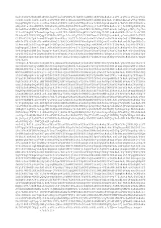 Oa6tYeXrTJFwRpW5sFpGn2nNT9la7nFVXFUJf/AN9Y/wDMR/zKfFUX
irsVdirsVdirsVdirsVdi
rsVdirsVdirsVdirsVdirsVeT6X+WUtlrWnamnmmCFNJaKK7sbNWt4Z
UtWMnO4AnatwV5q7EUKb
UopqVXHyRft5g1iU+dFka/S4nhs5FdVtlvA5jmhCTRqzKica7/AD0JqV
Uti/Lm5OtXNvN58eS+u
xNqxhX1wiRzxXMURX/SOKxRzS+pGOVaIQOhbFU28seRToVvqit5sRY9WS
/itjZc0EE2pXAZXjEk
84/wBFkakRFN3bkTXFVM/lzcz3Zu5PNscPpKHjgtHmSJWliMcDMHupCRE5
Uw9OpryJBCqt5g/Lm
51LzdL5kg82fV7aeeGtqxZogtsoD2/ESrG4HB2HJaqWYih3xV3lHy/L5M1i
OWXzJb3ml3cdrYNZ
0k/dskFIfSRZJKGQgyF32VA3bdVVLyr5JutH1yTUJ/Of6RVLeaJLN3ZEQOrs
pDmVudK82Z+TVG5
O1FUoH5U6/JpkSzeeBZFvqMt9bxvK8ccltbTIIo5GuahLn6wZJuVebCooNsVR
GmflVfWWvWmqz+
eBNJafVfrSVdXuUtrmWRXuHNw5Z/8ASDCvRKVHHfFXeaPy4a61HU9QuvPIhsNR
mlJt7gmSNEnZo
1i4essdEZxEGChgo64qp6l+TN3qcOo2jeb0D3wv4wyq5kginMXKOMCcKVX0fTlD
LujN0bfFXSfl
hqFvpupNL58eeFlSee5lM0kkUaN6hcencBU+sf7tISh4rQdaqvQfLejrpOjaZafX
v0nJ9clkmvu
Tv6jv6p6ySTN8Iou7npgVk+KuxV2KuxV2KuxV2KuxV2KuxV2KuxV2KuxV2KuxV2Ku
xV4DceTPyq
try4S782zG2vriGwWG3eFHT6ravFbpdOI+XIc33O8xIDc6mpVM9R8o/lBqptYD5pY/
o62NkIYpY
WjYQqzEsnpsrNx5EDw6dcVRJ0j8s71beL/EVzbyJZQWcF27wsbm2tVuayKzRycvVGoM
GbY/YpQ9
VVP/AJV/
+VFnpn1f/EckdhrdrZpHR7flImmxw20To6w8gXaKjr0eRiKV+HFW7H8ofyv8
yNcDTtcnvrhJ572
6eCSDiXv0gRyyLGEMX+hn00+wpZqdFoqyKb8k/LkugwaK17eC3g9cK6tGG9O4
eGQovwUTi1rHxZ
KMoBAIDYFSa+/5x+stUub9b/WLq306WXlY21j6cTxr60s9ZJCh5srznhUfANht
ShtU/ufyd0GSK
WGC8ubWKUXCssS2+y3L+oQjGItHxb+Qio2OBUDD+SGlWekrpdlqVwLZ57eSczpB
KRHb280ACJ6Q
i5t63xMynpXrvireqfkP5Xv70Xf128glChaxmAkHkWLIWjYoTyNeNN/mwZtVKL/n
H3yfFZLapc3
X7qaC4t5W9BnR7XkYvtREMKleQP2qU6YbVU0r8hPKmnG7EV5fPFe2s9nOpeMM0c8f
pVZwgZ2VCa
Fq9fnUKitF/JXy1pMF5HBdXTNfQ3cM7n0gaXq2ivTjGPs/UFK1ruz9a7Kpt5Y8m2Hl
HTrTTLK4n
uopL5rhpbpleQs8BU1ZQtfsVxVleKuxV2KuxV2KuxV2KuxV2KuxV2KuxV2KuxV2KuxV
2KuxVg1t
+Sf5c2s6zW+nSRsLqC9ZVurkI89r/vO0iiTi/pb8Q2258cVVB+Tn5eLZTWK6YVtJnVzC
s0wVTGr
KgQB9gokNB0xVEP8AlV5GfTRpraexsxbi0EXrTf3IKHjXnX/dS74q3P8AlZ5KnttLt3s5
BHopZ9
L4zzK0MjOZRIrB681c8lbsfkMVTLy75N8u+XQRo9r9WBT0iObv8PqvMfts25klYk9cVTrF
XYq7F
XYq7FXYq7FXYqhL/wDvrH/mI/5lPiqLxV2KuxV2KuxV2KuxV2KuxV2KuxV2KuxV2KuxV2Ku
xVxr
Q03PYHbFWFflxpvmvTY7yLVr601a2vJpb43ltLITb3M3pmW0VH9TlGr82D818Aig0VVmuKvK
7Xy
V+YtpqEtpba+sNlLC83pRzfvxNJcGWSRuUbM3Llx5eHw9gcKEz0bRfzGs/OFpqeqTJqGnMl7a
PE
txvF9Zkt5kuOPoxDgEtTGIxUqx60ZioSgD5U/Nz9MS6g+q2zp9ZujFAkzp/okxQwxhjFJw4Ogd
t
jUAqKctiqEj8o/m2up/W016FbkpZR3Vmbku72cLXrXCcvq6hZJZJYvSlCDgKjfgOSqe22g+fbO2

0OD6+WuptTWTXriHi6NaiESykl1j4mSa3Efwp0kNAOqhUu1Py3+bs2vapdf4ggs9CaaKSyjSUo0d

;ut0pn5loWpWzBA+LZ99uuFVG78sfmxFoc8kXmCCC/lBq7TcbdTLceq0gIiBDEGg7dqUxV6Rps16l&#x
A;jbJqxij1By0RCSclkZORDKSsXxPGnMqF+HcbgVwKjcVaZ0VlVmAZzRATQkgVoPoGKtRSxTRJLE6y&#
xA;RSKHjkQhlZWFQQRsQRiqGv8A+
+sf+Yj/AJlPiqLxV2KuxV2KuxV2KuxV2KuxV2KuxV2KuxV2KuxV
2KuxV2KsC/KrQYNFt9QtrLV7
bU7VpyZxDE6ssqqkatzeSSoKxnp8P8tKGqrPcVeLa3+Xmpx6Z5g9
HzfFPq0hupoRKZIhGZ4ZIoo
i8c1VKzKZF2NHFeJwqiJ/Isqf7mdQ88ctKtYZiYhzjRbeO0RWc0mL
mX005yfQVVTUsqyPy/oN/o
GvfWR5gtbnTCnpXkE7yeosUKCNKF53TkkqqoPEUBYEFiCAqTaN+VOu
293eTHzauoXMk8Up9SKQm
FfTbiAIrhKHnIZkB+Gp6HrhVD2HkH0bNtObzlHc6okSepJK03ptFcXU
rxIVS4jqC0DoArA/B4bY
qmfmzyhrPmHy/pVhd+a4NNutP9Q3ssVWFxB6iohlJlRqtEOEh+yzOdgN
sVan/LK6uZGS41+J7dZ
JVuIgJwf3+6Aj60VWRuYB+GlFTiFpXFVbT/Iv6O8yabqt15kje20yQXkV
o5erxGymsULtLO6gJ9
Y+BlUdwak1CqX3HlqWLQdPsbrzb9QurfWY7t5WkMzPFLO1tp9qsgZDURpH
GSP2gSe+KutPyf1Ua
dYC180vcNbtayvLIJpYrkQQenIrgXAYJM7O7cHH2j13qqnP5afl15g8mF4L
jXxq2nvbWtstu8Dx
mM2iPGrRfvWVeSsob4TXiN8Cszv/AO+sf+Yj/mU+KovFXYq7FXYq7FXYq7FX
Yq7FXYq7FXYq7FX
Yq7FXYq7FXYqwv8up9Le2Sz0rVL2Ww062jjtdLvIYYhHaSUWzdGWJJHRVt5ER
i55fFyqQKKs0xV
43Z2f5ZMTOfMM1q0DMUhuI7QObeKaa35cfRZjyaVlWVv3vQ1woWXP5Z/lv5k1N
tDh168nupotQk
ZbRrcIsaPDFMG4xcSytdDi5BJqwJPHFLUnkv8rf09p8E/mC4kk0eSKKG2YwCGum
3McqwSgRBpHP
JebGrOoLFtq4qivJw/Lzyzq8NrpXmljbxWMCOk4hP1iNhNFCizrGjtJzt5JOO7fZ
4USoKqB0/wD
KfyLFY3PmHTtduzBA1vDcXl4YpoHgt7hbpitEqTJyHGRTy8Nmaqra+VfykuNRtb6X
zM2qXcH1fZ
jaP6i/WS0LUEKrx5ORVeqg+DVVR9n5U/LqbQNR0TS9f9ZtTtUlSWR1MkUNndPcPPG0
axu0kczu6
kklfh40UYqq+dNI/LGe9svMGpayyWlyE0i1hjmg+qKLO4rI370cQsTxcZDX23YgYqkN
/wCWfyYn
luEfzTNpgs+EM55QQqQkseqq0bSwniVaWMF46Hoh7Yq9T8ieWLPy35fh0+wvp77TiXnt
TcCOqi4
kadqFEjYgtKftVIwKyLFUJf8A99Y/8xH/ADKfFUXirsVdirsVdirsVdirsVdirsVdirsV
dirsVd
irsVdiqEOpwg09G42/4ok/5pxVIdC8veXNDufrGnwagsvp+gfUa8lX0gQUj4SFl4x7+mKf
Dyan2
mqqn36Th/3zcf8AIiX/AJpxVi48j+RxfG+XTLlblo/SdgtzRlB5Co8ffwxV1n5N8rWOsW2r
2MOo
297bmUGQNdPzhmKu9u3Pl+59WNJAq03HgWBVQ6/l15ASd7iPS7uK4knmuTLGbxHEtyOMxVlI
K80
qjU/ZJHc4VaP5c+QCVdtNvWnSW3uEuWa9aYTWYnW2lEhYtzhF3JwPb4f5Voqik8neVV0290pr
e+
k0m+SBHsG+smJPqzckaPuGZqcmrVqAHYYFQtr+W/5eWlvBBb6RdJFbJBHCP9MNFtXmeEVJNeLX
M
nzrv0GFUdZeUvJ9jrS63a6dcpqSwG2WYpcsPSYklSjVU/aPUYFQQ/L3yTJoGi6Nd2FzcRaDD6Fl

P6c0UlGC+qSYgg/etGGYAUrhVCz/AJTfllPAYJNHujEyGNlBvBVWiWF+jChdIkDEfyjFWaWlzbWs

;PpIl4685JOUqTytWRy5HJwzcQWoorRRQDYYFVv0nD/vm4/5ES/8ANOKqM1yLm4tFjimHCbmzPE6A&#x
A;D03HVgB1OKpjirsVdirsVdirsVdirsVdirsVdirsVdirsVdirsVdir//2Q==</xmpGImg:image>
</rdf:li>
 