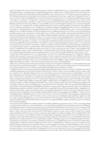 OkED1Gf
0SVCjYLx23VTDS9DuZPOpubfzut0bqa+mudMtwJBLCY1jijlIkkVPq3Mcaca9h1xVBWf
5MeabQLb
jzdLdaXHCqDS7uFpbeSReKq0wEqsyoi/BQg1Ckk71VTGH8o9TTR9V06TzNc3Dak9o63
Mys7RC21S
4v3AUyUPqxXAiYdPh5bg8QFWw/lp5+VGZ/Pd21xzleI8JPSRTGohjKesC6xyKzEseT
A0Y98KqUH5
W+ejYW1rqPne41AJKrXYmicLLEjh0QhZV3Xuf2tqjtiqM1TyB+YN1pOm2dr53ms7m
1jukvLlYGYz
md1MRBMwdTCoIUszYFUdD/LXz5pOrG6TzrJPYC7luk0yW2PohZBKREeMqsV5yqzb
70rscKp0/lLz
V/ilNRg18W+jrfNey6ckT85le3jhMMrmQpwUx8lonU4FSOT8tPzE+ttLb+f7uOJ
zG/ptCZOLLC0b
cOUhHFnf1CpB340oF3Ksys9Ov9O8uXFve38moXAhkJmkp8H7unBDvIVFK1kZn8
W8AqdYq7FXYq7F
XYq7FWKaj+V3kzUdbXWru0lkv0laZHFxOqB34c6Rq4Sj+kvIU3xVRm/KbyXK2
lI1q/1PSEuVtrIy
MYi13LDMzvWrMUe2UpvQHfrSiqh/ypf8vRA0CWM0cTxLAVS6uV/dxuGRRSTb
hxCin7O2Kt6h+TH5
fajY29jeWEstpajjDCbm4ChaAKpo/wAQQABQegxVFS/lT5El1+LX5NN5atD
JayxXBllIV7FBHAwQ
twqqqN6b98VQN/8Akn+Xt7qCX76eY5vWE10EkalyFglt/Tm5FqoUm3ApWn
hWqqld/kL+Vd1M8s2i
gtI8kjATTKpeUqzsyh+LVaMH4gcVdqv5W/lpY3UerzaZK12byCaKOGa4Z
pLmORnhpGH4txZ2O+wF
a7YqmOieQPIJlg1/S7EBruaXVYJ1eVQ0l/A0cknEkf3kUzbEbV9hRVCH
8kvy3by+dAbTHbS2vH1F
ojc3PI3MkH1dnMgk5msWxHLfqd8VQVl+QP5eRWc9teW8+oLcgLKZp5F
BjSRXiThEY0pEIkVSQTxW
hJGNqi5/yN/LGcRLJpFVijESqJpgpRXMihgHo3Fj8NenbFUXd/lJ5D
udWvdWawePUNQYveTwzzRG
RiQatwdejAMPA7jFUHH+Rn5bRpcJFp80Yu5FlueF3dLzeN1kjLcZB
X03QFfDFVfUvyg8o3Wi3ul2
iz6cL6O1gmureVmmEdkzmIKZfUH2ZpFJpUht+2KoQfkH+VIhEP6D
T01bmq+pLQMO4HKlabYqiYfK
n5feSNVk1+3spIL+6g9OaZGmmpb2sY5OylmULGi7tSvz2GKs4xV
2KuxV2KuxV2KuxV2KobVP+Obd
/wDGGT/iBxVE4q7FXYq7FXYq7FXYq7FXYq7FXYqsnl9KCSWnL0
1LcfGgrTFUg8u+bp9Xtllk0q4t
3MhjdVKuqfAsgLlvSdahxT4PcVBBKqX6TEfN1xFrF3MP0UkXo
SaJVZ7d5GWOdZHZkT40LAMOJKuv
wsPjDKslv7yLSrCN4rSSaJZILeO3tUBKrJIsQIUUARA1T4AY
qgfN3mceXNOivmspr1HkZJI4BV0R
IZJmk4gElVWI1pv4VOxVSBvzXspLm5js9OnlW0MiSLIyxzS
uiu1LWNfUEqqI6yEsvAMDv0xVlWla
sdQ0xr76rLCyyXEf1ZqGWtvM8XStKt6daV79cVQ/+IZ/
+rNqH/AQ/wDVXFUPqPmyez0+5u/0JqEn
1aJ5eHCIcuClqbSN1p4Yqvg80Sz+Uv8AEP6LurWQwGc
aXeKIrgHsjqvqcSf8xiqja+b5J9CfVG0u
4i9O2luGQleAaIspiLbOrVXflGCvcVFMVQ+laHFrd1
LrWrSxalZzkfUbBgs9tA0LNG0kMjKOYcCq
sFWoJryHHiqyC91H6rc2UH1eab67MYfUiXkkVI3k5
yn9lfg418SMVSnVvOMGl69FplzaS/VnSOST
URvDGJI7p6MBVq/6HTYftD6VV+geaV1fUr+zS3Ea
WTMFkD82IWaSH94nFfTL+l6kYq3JCG2xVPsV
dirsVdirsVQ2qf8AHNu/
+MMn/EDiqJxV2KuxV2KuxV2KuxV2KuxV2KuxV2KuxVJtf8vNqIM1rdSW
l7SJGdZJBHJFFOsxjkR
HSoYKychuAzdiQVUN5Z8s6ppEvO71ibUE9MoIJAOCErEtUJ5Sf7qP23br
86qsixV2KuxV2KuxV2
KuxVjfmLylNqAlk02+ksJ7hw9yOc3pOwheFX4RyRFXXmrVDCvBa9AQql+j

+S/NWm6tZ3H+JZrnToXZrmzmQs0qsh+DmWOwkdmG1QKDoMVZZqGn2eo2U1jexCa0uF4TREkBlPY0

;INMVRCgKAB0GwxV2KuxV2KuxV2KobVP+Obd/8YZP+IHFUTirsVdirsVdirsVeW6lqfm2TztrMGn+&#x
A;YrCHgGj0vTLiSWIRXC2TRQhw0fCf1Lm5ikkCE8KLsScKqX1n82oNXuLebzPoj2qPFDBDWJLr1OUL&#
xA;TCWqcQ3p+pxVV8OmKoPT9Z8/6Xquoan5h83aRF5bAW5uFjuI7ieL0Y7dZliX0VABVHPBV6uP2juq&
#xA;i9Uvfzf+p3l5aeYdBt4JZjHpUkkqGJo0FJGeQxULho2PEdAaHcVxVEajcfmVd6vcyQ+YdGi8sQzc

rh4pwk0cDwIYQ0gT4C0/I157riqEs9Q/MtfNupwjzRockFwLj6ppry+pKs0kTw2XEcU4J68HxRj
k
2z1JNMVSnWdX/NqW2htJfNOiWty8qW7+m8qMtzb8muC5SJHWEJbyk8uILAnnw+HFU+uNf8/jTb
eF
PMegjVI1mN4frUKgEOGB+KF9hEG/ZXj+1yxVZrepecmtDaHzZp1tqU97N9RkgqymCaApbxOI0
7SS
o9SahfirQVxVzSfmHpmhwX1rrenA3E9jE15e3c17bSJH65vJA4i4w+qxUgAcVVaVFMVbkv8A
82Ht
tMjTX9HjMSxQ61qnKEQNM9w/OOFSHIn+remygjjWu244qpauvfmVbXlrqV95o0JrMXEdhLH
FdK6M
LphHGCscFPXEtPipThX7PxHFUZNrv5mQxX9pJ5o8vQalOsH6KjmkRyjRMv1oSMqxKxblsO
Owp3qc
VW6jc/mBptzpd03mXTV0CS2ttKuZXuXeaTUHnMTGJvTdSxd1VyRyCqd13KqteWrn81bO/
mg1bzHo
80msW0k+ip6rzRGdbWOCP0mMcfKM3AV1RW5cS5PJmqqqX6/qv5yNMNFi17SEuLhZ47u4
S5ghW0Qx
iKMSMFW4+sGV1oY1A5V+yCvFVFajr35mafd3d5L5k0V9OlBFokcpMqUaag4pBOhHw8f
sc2cU5bUK
qp5nuvzWV7LV7HzPo1rY29utjfEu0sL3srQc1WONKmXnGwDVqEb4VBriqp5h13z/AK
To1u9p5j0e
MTQWsdle3c4aJxCkUd5IZPRkLv65YVLUoymg4tVVSg1T80bzRLV9F8w6Ul2rvHrNx
fpMii6mjgMK
W6TxR7MTJxXYbr16YqjdSuvzLudQmv8ARvMmirbwR2zyoZw8C2yxn6zIY+J4EzdJ
GY/D9IKqlZ6p

+YGlahA2q+b9Dl0pdR53CtIgmNjLKxA5Fftss0RHHiq9B8NDiqlpep/me2iPptj5l0G+19L6D6py

;uOfOw9J+SNJwkZ5naPly4n9rwxVMvKGo+c21tbLUdfsb6eO8kbXIbdlYRxw6ZaKUjDhDGfrYZ2WM&#x
A;FQHNaN0VYvaXf5j6LpssnmHzjpd9oyLaetLDfGO4aWVLdPTWdIXkjVmimIZftVLfDvir1HRZLxvK&#
xA;95Fd3EV3JALiL6zFObgvRST6hZVKOjMUKb0oPGgCsjxV2KuxV2KuxV2KvKfMdt+VF15s1GTVdOu7&
#xA;2/0W6trq9uuUr21pPciNInRDIAPV9JVb00NSm+6jCqKtPL/5Qa/JL5hjl4XGrzfvWa7mt5JLiWFb

gR8PUWriNFkVV6cajpirHv0Z+SdnpCab+gb20sNYkjS1jXmhmnv0pBAjJNyV7qJDQNT4dmK7DFU
R
JrX5LfUo/LzR3sLWLH6rZiW4iuJJbuONlgWT1VLGQsqKGcLySldsVTC+tfyIt7S60W9ngSLUrT
Tz
c28ss7M1vCWksXNSaUabr3LKrfaUFVBXtp+RWkahpt7NHJH9ZmOt2l36lyYRNYXE8/Ngz7NDJ
NM3
Dj05bEA4qjdL8vflL5i8xg2WmXMlzefpW/ttVEkqwSuLqGO+eJvV5VW5mXj8AoQeO3VVHaR+
VX5Q
6zoCLpVgJtIZJLaNoprlRxFw0siVLBtpSwIP+r02wKmEX5Mfl9E1kY7GZV05QlnH9buuEaj
09ghk
47mBGavUjfFUafyz8qNokuhvFO+lSXn1+G2NxKBBP6nr1hZWVlHrlpKV+0T+zQBVCJ+T3k
SHRDoV
pZvbaRJefXri0jmkKyuYDbsjF2YiNozQqpFfvxVSf8kvy3dIkbTH4QpBFGv1m4oI7Xj6S
f3n2eUa
sfFhU4q2v5LeQFtzbi1uvSaSSZl+u3e7TEtLX97uHY8mHc79hiqtP+T/AOX0+gwaBLph
bSLeaSeO
19ecLylkErqSH5FC6KeNabDFVeT8rPJEi6CrWBC+WZFl0dFllVYnSQSqxVWCtR1B3Hi
OhIxVR1b8
oPy/1bUX1G+00veSEmWVZpkLcpzc0bi4BAlYsB0rTwFFVKf8mfIE8MUMtpcNFCVaNP
 