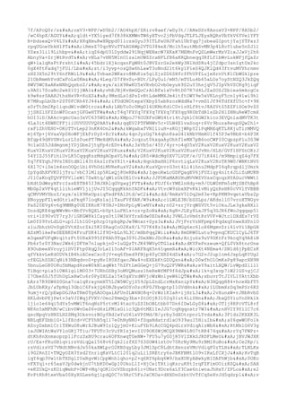 7f/APcQ0r/s
oxV3+NPP/wD5b2//AO4hpX/ZRirv8aef/wDy3t//ANxDSv8AsoxV3+NPP/8A5b2/
/wC4hpX/AGUY
qldt+YX5iyed7fR38kXMWnTW6yXTvc2jPbVdgJTLFLJEysBQRsVbYkV6YVelYFY
H+bdzexQ+V4LY
X8qXmuRwXNppd01lczxGyu39ITLPaUHJFahlUbYqg7jzbeaG1potjYajYTPaz3
rpqUGoeYbkH1PT
iRmsZ70qrNVuTTkAUAWp2VTG38keX/Mclh5xutMbSvMN3p4L8oY1ube5nSJll
YSxs31i19Lihbpv
tiqZ6dpU3lDyddw291NqjWENxcW7XKxK7MEMnFvQSLmWerMzVZixJJxVj2h6
AbnyVa+ZrjWtRvdT
vNLa7vHN5M1nO1zalmUWZZraNFLfB6aKRQbneqq3RfLflbWvLukWFjfQaZr
qW+lalqRsFtPrshtI
45bdrlXjkcqsnFgWHt0JBVZzrGs2ekWy3N1HdSRu4jC2dpc3snIgtUx2kc
0gX4ftFadq7jFUi/Lb
zt/i3yvp+ozQSw6hLawT3oNnd21t6ky1P1eS4QJKlQd43ftvuMVYhrnmv
zHZ3X5n29tY6nfRWiL9
Tvbae2WKxro8MhKie5glSjsZD6SHfcfFhVPfLujeXrnVtK1CbWGk1pre
21ObRmmhYvdCxFoLx0Km
4Leg/D7fHvSu+BUt/LPy0ul/mN5/mTULu4b65aLOs7oyStNZQ3JkZQq
8WV5WC8aAKeNNhQqzbzZ/
xyx/xlX9RwKU5xVRvbO2vbOeyuk9S2uY3hnjqV5JIpVhVSCKg9jiqF
u9A0i70caNc2wk01UjjWAl
vhEJBjKvXmGQoCrA1BFa1xVvRtD07R7d4LJZaSOZJZbiea6mkcgCs
k9w8sr0AAHJthsNsVR+KoXS
9MsdLsIdPsIvRtLdeMMXJm4itftOWY9e5xVKLnyF5cn1y41wi9h1
K7MRupLbUb+2ST0FCRh4YJ44
iFUdONOtepxVXbyZ5abRzozWddNa7+vmD1Jf96TdfXfU5c+f+9H
x0rTtSm2Kp1iqndW1vdW0trcx
LNbTo0c0MgDI6OKMrKdiCDvirHLf8tvJ8AZVtZ5EZFiSOe9vZ0
jjSRZlSFZZnWFOcanjGFGwHTFW
T4q7FXYq7FXYq7FXYq7FXYqg9R0bTdRlsZb2H1ZNNuReWTcmX
hOI3iD/AAkcvgmcUao3xVC635W0
XWpoJ76OUXFsGWG4tri4tJgklC6GW2kico3EVQniadMVTK3t
4La3it4EWKCFFjiiUUVUUUVQPAAY
qqEV2PTFWNWv5c+ULW4E1vaSoq+r6Vr9buzaReupSQw2hl+
rxFlZhVEHU+OKoTTvLep23nKK4On2
kWgabafVNIliuH+sKGjjWRpY2iPqMREqKTL8KjuTirMMVQ
mj6Tp+j6VaaVp0XoWFjEkFrDyZ+EcY
4qvJyzGg7k4qhn8saG41kNbVHmAU1f45P3w9BbX+b4P3K
Bfgp49d8VSNvLurL5z0uePT7MeXdKh4
2cqzut0kxgaAyOhhf1eMX7pB6ooCWPI0CqpzpPlu303W
9c1aOZ5JddmgnmjYDjGbe2jtgFp4rEDv
3xVb5s/45Y/4yr+o4qU5xV2KuxV2KuxV2KuxV2KuxV2
KuxV2KuxV2KuxV2KuxV2KuxV2KuxV2Kux
V2KuxV2KuxV2KuxV2KuxVJvNn/HLH/GVf1HFSnOKrJ
54YIZJ55FihiUvLK5CqqqKszMdgAOpxVL9
G80+WdcMg0XV7LVDF/e/U7iK441/m9NmpiqZ4q7FX
Yq7FXYqhJ9VsINStdNll43t6kslrFxY81t+
HqnkBxHH1F6nvtiqLxV2KuxV2KoTR9W0/WNKtNV0
6X17C+iSe1m4snOOQclbi4VhUdiMVReKuxV2
KuxVQnvrG3nt4Li4ihnu2MdpFI6q8rqpdljUmrk
IpYgdhXFVK01jTru/vbC3lMlzp5RLxQj8UeRB
IqeoRwLcGDFQagEV6jFUZiqy4nit4JLiZuMUKN
JI1CaKoqTQVPTFVlleW17ZwXtq/qW1zGk0ElCv
JJFDKaMARUHuMVVWZVUsxCqoqzHYADucVWWt1
bXdtDdWsyXFrcIssE8TB45I3HJXRlqGVgagjFVT
FUJf6rYWElnHdy+m9/OLW0HFm5zMjSBfhBp8
MbGp2xVF4qtllihieWV1jijUvJI5CqqqKkknYADF
VtvcW9zbxXFvKk1vMiyQzRsHR0cVVlYVBBB
qCMVVMVSbzZ/xyx/xlX9RxUpziqTedP8AlDtd/wC2
dd/8mHxV51Dq2m63e+RpPKM9vqetaVbs2p
XNoyypFZiwdGtriaPkq87loqRs1ajlTauFVf8AK/W9
c1LWLE3N/bSSLpz/AKdsl1O7vroXTNGyv
PaS20EVg6v6g9MMKg0UEIKKoK785NJ+ZNnFpLyW1wNY
n02+srjVrqWSVUt5viOkuJLe3gkaNXil
DozdQKE4qpWWvWn+BbfVv8QXL+bYptLuPNls+oz+pZoN
RgN+JLEy8LaJF5q3GJR6fWoJqqqap51
vri+1S90vUY7ry3/iGKGW8k1Cays0t10W3kVfrsEdw0ED
3VWLIoVm6tRzVVF+WJtc1DXdEs7rVZ
Lm0fS9YvLdLG+upIJlh1G0+phrp1tpbgRpJw9Wnxr+0ys3
JVjFvrVzNFpmp6PqdxqfnweXdYn1O
zluJbhrbUvSgb0VtHZorZkl5KI0RagCoO2Ks8/L7U7K48z3
MGg6xc61oX6MgmvZri6lvVi1BpGH
ASzM5ikePeSEEBKD4FruFSK412f9D+bLn9L3C/mHbPqq2Wii
8mDRW0Lutu9vpnqCKUC1CyLJ6TF
m3qemFUFqWrq1trFt5U8xX995fP8Ah9Tqa3091JDeXWrJDcRx
Xcju6s9uV9SKtFr9kcqYq9A8iN
Pb6r5r0Y3Nxc2Wk6jDFYm7nlupkjn0+1uGQzTtJK49WVyOTGla
dKYFePnzeum+QfL0Vk8tnrOne
X9OubeeXVruyjlDVIFtp0XqQ3rLxIl5oAF+01AKFXqX5n61qemX
WicXt4NEma4/SN1d6jPpECzK
qfVkkvLeKd0DVkIB4hiACexCsc0jV+eq6fbed9fNjp40yCXRZ4dS
u7G2vJ2up1cm6JspLqRYUg2
cfEGLhSDXCqNi83NBqdvo0+pyNrI80XfqacJWa4+oEXEkKtGDUQsn
D0wfhO1OmKsPg89apcXN9N
5bnuLeG80O8u5bMapd6zeW0kN1aqWkt7hZFtLmGGeQ+jG79uQ2FVWR
eY9aitLXQW/LvWpdZlll1
TiBqc+pia5i0W6lgilM003+7URhGSBy3oMVQMuss1heReWfMF9f6dJp
1k+q3xvp7iW21GS+gjCJ
I7ObeSSJ5fUhUgLxHwCu6r0PyZHLZa15k0gXVzdWVjcWzWn1yeW6lQTW
sbuvrTtJIVL1YAttXbb
bArz7R9ZW6S0Gna7calq8raynmXT5L2W5WCyjS59JpLZndLcrMsKxnipY
N3HQqgH84+hceXbfT5
JbLUbKXy/aTpNq13GbiC6FskjQ6OBJbywGOYo0zcKP0JYbqptpI1GVdHnk
1LUbmXzDq3mPSr6KS
9umj+rQ/pEwpDGJAsTRm0Tg6AOOgalAFUn0LW4NO8q+UrWz1KIaR+ijHrL3
2vXunxW+rJBbRvbS
XKLdvbPEjPwtv3aVJIWqjFVXV/Oeo28mmQy3bx+ZtOOjR3l02q31ut4LiSHn
JbaQ0YiuYnSRklk
ljio1e64qi5dYs5vMWlT6nqNzP5rtvM14txoYuZSIbOBLtbb07Dn6IDwLGyS8
OTlj8RFcVTL8rf
NK6n5xMFhM/wCibvSWvDaS6vd6zLFMlxGiic3Qb6tMElIeJJG7cqHqqoatr7W3
nHVIY9Yl1C7c6
gscNpqVzHNZLHZSMq3OksvorBGyfBdIwYuU61xVPfMd/N/yrby3dXOtrpnrLYvd
3F1dz2KXXK3L
NBLqEFZbb1G+L1fEcd+VCFYhN5q117e0hNyNN0+fSqaNdatrd1aO939auI5HiuIb
aY6gwWOFolk
AZoyDxbm1Cr1TXWuG8uWrXJBuW9IzlQyjmU+KiuFYb9iAcCGQ4pdirsVdiqA1zWbX
RtMk1G6V3g
iaJGWIAtWaVYloGKj7Tiu/TFUTc3cVuYRIsjevIIU9OKSWjMCQX9NW4L8O7tRR474q
rYq7FWPz+
dtKh8nXnmxopzp1lFczSxBU9crau6OFXnwqTGeNW+7FU5u7yG0jR5VlZXkSJRDFLMeU
jBVJWJXK
rU/Ex+FRuSBiqvirsVdiqQal568v6fqk2lzfXZ763SOW4istOv70RrNy9Mu9rBMi8uBo
Ce2Kp/i
rsVdirsVS7VNdtNNvdJs50kaXWLprO2KBSqyLby3JMlSpC8LdhtXenzxVMcVdiqF0zTLH
TLNLKx
i9G2RnZI+TNQyOZH3Ysd2YnriqKxVLtC1201q2uLi1SREtry6sJBKFBMtlO9vIRxLfCXjJ
XvTqB
iqY4qp3VwltbTXDglIUaRgvWiCppWnhiqho+p2+q6RY6pbq6W9/bxXUKyABwkyB1DAFhWjb
0OKo
vFXYql+r65aaVJp0dwkjnU7tbKD0wGpI0UkoL1I+HjCelTXtiqKsruK8tIrqFZFimUOizRSQ
SAH
+eKZUkQ+zKDiqWebP+OWP+Mq/qOKlOcVSbzpb61c+UNat9Dcx6xLY3Cae6niwnaJhHxY/ZPLo
e2
KvPtRh8txeVba00HyXGLee6gj1pdQ0C7n9ArC5FzJaCKOa+dXHDnGzbtUvTfCqSeXvJd5qdrpl
v
 