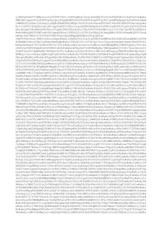 j/mR9a85ReV7tNMa5ninkjfS9TF+8Zt+J4XULQWzwl0eq/aGxGKp95rZl0sFSQfUXcfI4qU5xVJ

fMXlW21qexvFvLnTdT01pGstQsjF6qLMoWVCs8c8To4UVDIegPUYqlKfllpsMVq9pqd/batbXVxf

;HWkNs91LPdx+lO0omgltyHQKvERAKFHGlMVQn/KnPLP1b6v9aveFKV5xV/46v6X/AN9f8tHw/wCp&#x
A;t1+LFVr/AJQ2ElnqtjNr+qy2OsXD3l9bv+jzyuGdZEk9X6p6x9Jo04KzlaKFIK/DiqOtPy002LUT&#
xA;qVzqd/fXzXNndvNcPbir2CypEoSKGJFQiduSoo7UpvVV035Z6SdWn1iz1C+0/Vp7ye9N7btAXX6z&
#xA;BBbzQBZYZUMTLaRt8SlgwqGGKoa3/KXSLO2ji03VtTsJRby2d1dwyQNNc2808lwUmaWCQVV534ug

VxX7WKst07SrPTdJt9K05fqtnZwJbWqpQmOONQiU5hqlQP2q+
+KpT5T8nf4ce/ZNXvtSGozvdzpe
i0AE8n95Iv1a3tyOVBsTx8AMVdrXkfSdXudZuLmWdH1vSf0H
diNkAW2rOecfJGpJ/pTbmo6beKqB
1T8sdC1G/i1F7m7gv7a1s7SyuoXjDwGwklkhmj5RsPUP1h1
bkCpU044qv0/8ttGtNVs9Ye7u7vVr
a9m1Ga+neIvczzWhsv3wSONAqQNRFjVAKfOqqYa/5TttXv
rHUUvLnTdT04SpbX1mYvU9K4CiWJhP
HPGyPwU7rUEVBGKpPp/5W6ZpaWx0jVtS0+7gie3mvont5
JrmF55Ln05/XgmRuMk78XVQ4r9rFU/1
zy5Y6z5ZvPLt1JMtle2rWUsqvyn9N04FvUkElXp+0wO/
XFWOy/lLor3kkyalqENtLqFtq0thG9uI
Xu7V43R3YwGZlJhFUMnEfsgHfFWS65o8+pwwrBql5pM
0EnqJcWLRBjsVKuk8c8Tqa9GQ+OKsTX8m
fL0Nl9U0/UdR05JrOXT9Qe1kgV7qGeaS4b1S8L8CJb
iRgYeFOVPs0AVRyflnppk05LnVNQvNN0uS
Cez0u4e3eBZrZAkb8hCJ9qV4CUJX9nFUJa/lHp1ou
lC21zVIn0OOW20mUGyLwWs6or2yFrU/DSNa
Oayj+fFUVpH5WeX9L03UNPgubySLUtMTR7h5ZI3k
EEZuCHVvTH7w/W3qWqOm3WqqKtfIdtY3Ej6Z
qd7p9tclX1CxhFq0NzIsKW/qSetBLIrNHEob0nS
tK9cVSKP8kPLsOnTabbarqdvY3Vpa2V7DHJbf
vlso1iid5DbmQHggDKjKh7rirONVsbq9tDBbaj
caXKWB+tWi27SgDqtLmK4jof8AUriqh5b8vaf5
e0eHSrAyNBE0kjSTNzkkkmkaWWR2AA5PI7MaA
DwGKsf8meUJdO82+bfMVzam0k1i8RLKEyCQfVoI
lBmAUsE+sTF3K9eld8VR/mLyLY61q0OrfX7z
Tr6K2ksWls2hBe2mYM8ZM0UxTcfbiKv/AJWKsE17
8sLq2sJPLPlqHWY7O9t7KzvL0z6aNPlFrGk
Cz3AY/XfUSCIBhDGquQAdsKssvvyt0m8vjO2pahFZ
tqkOtnS4pIRbfXYZEkL7wmbi7R1ZPUp1K8
TvgVLf+VR/ovS0j8vazepe6bZXdl5fjupIVtrT64nA
vS3gjd2j+0rsWcnq2Ksj1uzFl5btLMSy3
H1YRQ+vO7SSvwTjzkdyWZmpUkmpOKlkWKsJ/MPzb5k0
K6sk0+FLbTJYbia81qaxu9Tghki4+nFJ
DZPHJErhmYzMeIp08FUhg/NnW724uZNNsjfwWl9b2Qt7
PTdSuluY2Ef1m4j1CJfqsQHrF41cH4V
+IjmOJVmP5heYNT8v+VZ9T0tIJL5biyt4UuQ5i/0u9htm
LcCrbLMSKHr49MCsS1Hz9540/wAzQ+
VX/Rk+pS31jCuorBPHB9Wv7W9l3g+sSOJYpLD/AH7R1P7P
UFXWv5oeYZb2aGKxlv2sdVXSLqC10
nUiJRDKLe7u0u1MtrEquWkWNmaiLQvyOwVZb/mR5rttL0HX
dan0q30fXJbm1cpBOrWbRQXE0dzI
73BWSMC1PqIFUiuz4VQc35seaYbiaytzZalK7aWbC/fTdQ0y
B1v79bOQelcySNIoVwyTROV9jTd
VMvOP5g695YEtdTsNUu9Ojik1PTbXSNQJo7AkvdRXNzDZ8o2D
J6ymvjQ7BWXefdfvfL3lDU9ZsU
jkurKISRJMGaMkuq/EFZG6HxxVjPmvz/5l0/zXc6FpkNmeJ0ZL
eS5SU/Fqd3NBKXKOtQqxArQde
tcKp/5M17WdQudd03WPq8l9od8LNrq0jeGKZJLaK5RxDJJOyELP
xI9RulcCsI1XVL2x/M6/isyq
y6hrGk2fN2nCKH0m7kDNHBLAJQGiHwSEqfCtCCqn+X/mP8xJPK/k
m0Op2N3Pr9nNKL29trmWaJb
eNXrK31utw7FtzWPFU50rz95smj0XW7tLBtA13U20yGyijmW8hDPJ
FDM0zSvHJV4avGIl4g/aPE
1Csn83+YbzS30iwsPTXUNcvfqNrcXCNLDCRBLcNJJGjws/wwlQoddz
1xV5zo3nbVtB13UtDnKy6
lqOs6hcXV/a6be3sQS1tbNf3dlavLOC7TLuZCq9yajCr03ybrWoa15d
tdQ1Gyl0+9kMqTW00Mtu
1YpWjEgimAlRZQgdQ29CMCvO3/NrzTZpMupW9tZ6tMVhtNAurK9tZopZ
r6KzikN3I7295AvrBpG
gC9qda4Vd5p8xa83mHTvLmtG1uL7TdY0e+gvbKKSCKSK6NyoR4ZJbhkdH
gP8Auw8ga7YqrXn5x6
tp/kryx5ku7O3mOraXeahf28QdB6ltbCWNISztwVnNG5ctsVTHzbr/AJs8
uWehX+uzWd482pqsl
vp8d3ZiONbC6nkQsLuQXB5QgL6icO/CtOIVj+pedPM3l61Pm29tNLuNS8wa
DcXtk8MdyGtvqMP1
qK2lMk8gliKzfE0Qiq2/HfYqzvy5rvmZvNF1oWuGymIsLfUraexjlh4CaWWJ
oXWWSb1CvpgiQca
/yDAqc+Z4NbuPLupwaDOltrUttKmnXEgqiTlCI2OzdG9j8jiryW/19/Ltk1td
wa7YeY5EsC1nqm
p3F5aXKHU7W3muIJ7e6Yqy/WN0VowQaNGV2wq9c8xalHpmi3d9JewacIUqL26j
aWGNmIVS8aPCz
1YgBQ4JOBWOfl/5y1PXb/WdPvwsj6Z9WeG8WxvNL9WO6R2FbS+LyrxaMjlyKt2x
VLfNf5ka1Y6/
rOlaTZvPLo9pDNHCum6jqDXdxOGkWH1bJTHbLwTiHkr8TVpRDyVQGrfmB5ua9vrK
YQ+XUnEkWkw
3+n3zPODaGVZY7+OWO29UPUegQr/D9quFVDSfOPmrTvIHlmWfX7K51m90iG+itW0j
UdRu5ovq0T
KZfqt3JLyDlvVnKcWJrxWhqqywa42v+QdG1xohA2p29tdtCDUIZouZUHvTlipZhgVJ
td8oaFrsq
S6jHOZEjaEtb3Vza84n3aOT6vJF6iHur1GKodfy/wDKSXou4rEwN+79S3gnnhtZTCoS
IzWsci28
xRUUKZIzSg8MVQ/nTSI/Ofk+XT9Ju7eaOe7tG+sLKfSpY38Ulwgkh5kOPQdNuj7GnZVF
23kXyzb
tbSC3lmntLpb6G5ubq6uZ/rCRPCjPNPLJI4WOZ1VHYqK7DFVO/wDK3k6zvbjzDeqLMBlu
b2R7qa
CyaSOnGee39RbVnWg/eOnLYb7DFUn8p/lbodl5egs9Yi/SNw0M8U6NdXVxZhbnmshgglf0
oi8ch
VmjjUmp8cVTC3/K/wAkwzCcWU01wPq37+4vLy4kpZTC4twXmmkYiOVQQK07dNsVVda/Lnyf
rV3d
3eo2cksl+sa3yJdXUMMxhAWNpIYpUid0AAVyvIDviqa61DoV9bHRdXMEkOrrJbLZTsoNwPTL
yIi
khmIRS3w7gCvbFUosvy08m2l015HZyyXckltNJc3F3d3MrPYuZLYtJPLIzemzGlT02OwAxVO7
HR
9Nsbu/u7WH07jVJluL5+TN6kqRJCrUYkL+7iUUWg28cVSy98s+UG123v7uKNdXuLqK7tS87o8l
z
Z28kSMkfMBjHBLJVQtKbkbVxV2k+RPLGk3UF1Y28ySWrStaJJdXU0UP1jaVYYpZXjjVv5UUDwGK

rLT8vvKNpq66tBZMt0k0lzDGZ7h7aKeaolmitWkNvFI9TV0jB3O+5xVMtc0DStctEtNShaWKOVJ4

;Xjkkgljlj+xJFNC0csbip+JGBxVKE/LTybHa/V4rOWGlzJercxXd3HdLcTIqSyLdJKtwvqLGvOj0&#x
A;bvXFU/0/T7TT7OOzs4/St4geC1LGrEszMzEszMxJZmNSdzvirHYfyu8jxxzRnT3nimha2Edzc3Vy&#
xA;kULuJGS3WeWQW4Lop/dcdwPAYqiLT8v/ACna8WS0kkmW6hvjc3Fzc3Fw1xbArCzzzSSSuIwxCqzF&
#xA;R4Yqhrb8rPIlvcpOmmFzFHcQwwzXFzNBFDdgrPDFBLI8UcTg/YVQo7DFUWnkPy0BbiWK5ultblb2

2S8vr27WOZYpIQUW4mkAX05nXgPh36bDFUt/5Vx+XFqW02S1UHU7Wewt7Oe8uXItWHKeCzjlmb0
E
pTksAWgp4DFUx8x+U/J99Dc32uwJ6CW8K3dxLPJDGlvYzG7jLsHRVWOQcy337YqnF7Z2GqafJa
3K
rcWV0lHUMeLo2+zKQfkQcVSAfln5NKSLPaT3bSCFTNeXt5dzKlvOlzEiTXE0kiIJolcorBSRu
 