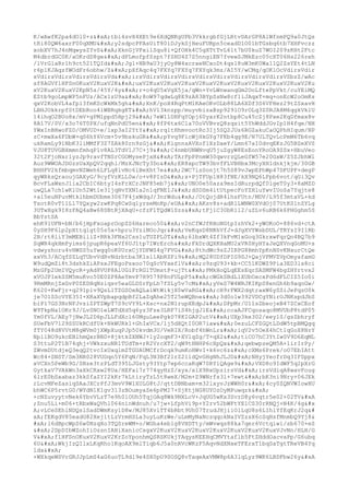 K/wAwfK2pa4dOl0+z
tbi4svX4XEt9e6XdQNKgUPb3VkkrgbfGjLRtvDArGP8AlWfnmPQ9a0JtQs
tRi80QW6axrF00qXMU
y2sdpcPFAsUiT80iDJykSjHeuFURpn5ceadD1O01bTGsbq6tb7XHFvczz
xobXV7hJ4nMqwysZYvS
XknGjVPxilSqu8i+QfOHk4C5gXTtTvL61t7bU0kuZ7WOI209zKHt2Ftc
M4dbrdGC0K/aOKrdD8ge
dPLmofpfSzpt7fSHU4Z7S5nngiEN7fvewSJMkEzc05cXT06Hs226reh
/lVrGlaRr1h9ct521TQId
Jgl+NB9aU3jyOy8W4xcrxeNCxoDt4qs18uW3mK0Wa11Q2ZsYEt4tLN
r6plKJAqzfWOdFr6obhw/Z
pXfAqc4q7FXYq7FXYq7FXYqk3mz/AI5Y/wCMq/qOKlOcVdirsVdir
sVdirsVdirsVdirsVdirsVd
irsVdirsVdirsVdirsVdirsVdirsVdirsVdirsVdirsVSbzZ/wAc
sf8AGVf1HFSnOKuxV2KuxV2K
uxV2KuxV2KuxV2KuxV2KuxV2KuxV2KuxV2KuxV2KuxV2KuxV2Ku
xV2KuxV2KuxV2KpN5s/45Y/4y
r+o4qU5xVgX5ja/qWn+YvLWnwanqGm2OoLftePpVkt/cuYEiMQ
EZtb9goLmpWP5nFUz/ACx1zU9a
8oW97qdwLq8E9zA83BYpSsNw8cf1iJAqxT+mq+onEcW2oOmKs
qxV2KobVL4afpl3fmKScWkMk5gh
XnK/poX4RqPtM1KAeOKvOLb88LA6XDf3S6VFHez29tZSxavH
LBHJOkkrpfStDEbRoo4iWBRqkgKT
hVl3knzpp/muyvbizaBzp929lO9rOLq3Z0RJA8M6qgkVklU
14ihqO2BUo8x/mV+gPMlppd5Hpj29
7eW1lDHFqYOpj60yxrK2ntbp8Cu45cZj8Pxe2KqDfmxx8v
8Al7V/0V/x3o76T0PX/ufqNnPdU5en
8fP6tx6Cla70oVVBvzQ8zqsit5YhWddJGvIp1H4fqe/NH
YWxInBHwoFZD/OMVUD+e/lxp3aI2YtY
rq1tHhmvootRc3Ij5SQ2JUs6RGZakuCaOQPhHIqum/NP
zC+mwXa6FDbW+qS6hY6Vcm+5v9bskuGR
pYvq9FicWjHkGYg7FKb4qg9E/N7ULTQvLcPmM6Tb6vq
ukRamLy91NbK3liMMfF3Z7ZAk80rn9zGj
KignnsAVXoflXzDaeY/Lmn67aI0dvqEKzJG5BZeXVS
VJU8TUVGBXmmnfmhqPlv8AL3TdV1J7C+j9
C4nmbUNWNvqU5juZgyW8EsEonYRoOA9ZSx+HbuVeo
32t2FjoNxrlyzJp9ravfTNSrCGOMysePjxH
TArFpPPnmW30qwvrzQLeGfW57e20GxW/Z5ZJbhWl
Auz9WWOAJDGzsUaXpQV2qqhl/MzXJNcTy3Do
ER8xpcTW93bvfFLVBHbx3McyXH1dnkjkjm/30GB
BHHFV2kfmbqmvNZWeh6LFLq8lvNc6lBeXht7e
2WC7lsSonjt7h5S89vJwpEPhWp47DFUPF+degP
qyWRksQraoujGAXyG/9cyfVzKLL0w/o+v8PIsD
x+PjTFUp1H83fNE/kX9NQ6LFpb6vot/qGi3Qv
BcvFLaWxnJlia2CbIC6btyI4sFrXCrJNF85eb7j
UNO0e50aza9msIdRurpdQf0lgeT0y3+8aMZD
uwQLx7ch1wKlUn52Wtle31jqNvYXN1a2n1qFNE1J
dSDSm4itUtpecFoYZHluYwvIUoSa7Yqjte8
+a15euNPuvMtklhbmDUbme3067F4jxWdqJ/3nrWdu
/OtQojdR4lhsFUtn/MDV/L95f3mtaVL+kd
TsotR0vT11L17YQxyw2zwKPq8CwSq1yrseMnKp/eUA
AKsv8s+adR1LWNW0XVdOj07UtKS1nZYLg
3UTwXgk9I8zFAQ4aBw68SBtRjXAqU+cfzF1TQdW1Szs
tFj1C30bR112/uZLv6uRB6k6PHGghm5S
BbYstSA
ehK91UFN+bN/b6jHpFxoaprOopZS6Hareco50
v2nCfWJfRHoNGtpIzhVk2+yWOKoO+886vd+ctA
0ySH9F6lp2pXttq1gt05s5x+hpru3YziNOcJqr
VeKqsD8NRhVfJ+dJgXVYWsbDUL/TRYsI9I1Rb
2B/rt8liY3mMEBiliZ+RRk3FNx2Css1uTUZPL0T
6lbxWt4Zf3kFvM1xGoq3GkrxwFqrQn4BQ7b9
SqWR4qkHmPyims6jpupR6peaVf6UJ1tp7IWrErch
FkDrdQXKHaMU2xVR0HyHYaJeQXVnqGoMU+s
vdwyzhoru4vHWSS5uYwqq0oK0UrxCjYDFWS4q7FVG
8thdWc9sZJIRPG8RmhYpKnNSvKNxurCtQe
xxVh3/ACqfSZLqTUbvVdRvNdrbtba3K1sl1AbRZFi9
MQ28UDfDPIG9SJ+QajVFMVZVpOmyafamG
W9udQmZi8t3dshkZiAPsxJFEgoPsxoo70qScVYxeflV
o9zqU93+kb+CC51KDWZ9Pia3ED3ls8ci
MzGFp2UmIVQycR+yAd8VUP8AlUGiFrRG1TUmstP+ujTt
PMkHoQLqEEsEqrSASMFW4bgZHYrtvx2
xVOJPIekSSM5muKvo50E0ZP8AeYmvP7H9579P8nFULpP5
cWGkSBdL1XUbOxcxPd6dFLCIZ5Io0i
9RmMRnjZxGvP0ZEDHqNziqsv5eaGLDSrFpLh7fSLy5v7cM
yVeS7W4WRJKIKpS8enGh6b9aqoGw/
K620+KwFjr+q291plv9QsL1TZGSOxAQLalWtWikjX0wVaRG
cH9rFWX2dqtraxW6ySSiJePqzO0k
je7O1SScVYE35I+XRaXVpbapqdpBf2LaZqAhe25T25eWQBne
3d0o1w392VDCgYNirOJNKspdJbS
biP17GS3NrNFJvziZPTZWpT7S9cVY9L+Xsc+nx2N1rupXEdpJ
DPpMr/U1lsZbeojeB47ZCxCEof
W9TkpNa1OKr9J/LvSNO1eLWTdXd5q6yz3Fze3LRF7iS4hjgJlE
ccaAJFCqosaqo8MVUbP8tdP05
Ym0fVL/AEy7jNwJL2D6pJLLFdXcl60MguLeePgk078KIGAP2utV
UXp3ke302/eey1S/gsZbhryf
SUeFbV7l29SSUkRCdfUk+NkWURk1+GhIxVCx/lj5dXQtI0OR7iaw
0ezuLCFZGQtLDdW5tpBMQgq
fTY048d8VVtM8gWVm0jXWpXuqPJp50kvdm3U/VeRIX/Robf4hWnLr
iqV2v5OeX4hCt1qGoX8NrY
NpllBO9ukcEBlhmQxrBBD+8jktkZXNWJ+1y2oqmF3+XVlqZg/T+qX2
tiCO7hC3YtIw0V9D6EqML
S3ttuP2T1B74qhj+VWkzxuNR1TUdTm+rR2VrcXT2/qW9tHNHP6cXpQx
qebwpzeQM5A+1irIrPy/
ZWvmDUtdjeQ3eqQ2tvcIxUxqlmZTGUAUMCfrDcqk9umKoHWvI+k6vc6z
cXMs6Prek/oO7EbIAtt
Wc84+SNST/Sm3NR028VUDqn5Y6FqN/FqL3N3Bf21rZ2lldQvGHgNhJLJD
NHyjYeofrDq3IFSppx
xVCXn5PeWb9G/SNze3tzPLdT395LJGsty93Ytp7ep6ccaKqW70RYlQAge9
VXD8o9IdWF5q2pXrG
GytkaV7VAkWn3aXkCRxw28Ua/HEFai7r774qyHzZ/xyx/xlX9RxUpzirsVd
irsVdiqA8wavFoug
6lrE0bSxabaz3kkSfaZYI2kKr7kLtiryTzL5t8weX/M2m+Z9WNrfs3l+7ewt
bK3ni9Nry+06JEk
rLcvMFeZasiqSAaJXCrPfJ3mvV9W1XULG8tJ/qttDBNbam+m32lxyvJzWWH0r
4cy0ZQNVWIowHU
bhWC6P5rvtG0/WYdN1K1gv313zBOumyaZe6pPMI7+SjKtjNG8UYOzOyMPuwqzk

+cNZuvyytvNek6YbvVLzT7e9h01OUh5TqjOAq8Wk9NXLcV+JqUG5wKx3SvzD8y6vqtr5e02+02TV

;Znu5Li+m06+tRbxWaQVhl064ninWdnuh/u7jw+LfphVi9p+Y2rv52bWFtYE1CS30rRNQj+N4K/4g&#x
A;vLCeSEhlNDQslSadDWmKsy1D8w/MJ85XvlTT4bRbt9Uh07TrudJHjiiOlLqU8s6LIhlYfEqKrJ2q&#
xA;fEKgdV85eadG82Xej1tLzVrmHSLa3uyLuKzWe/uLmMyNaNczqqokNaIVZzsX6cSqHsfMnmbQ9Yj8&
#xA;l6dBpcWpS6w0NzqXo3TQSreWM+o/WGha4eb1g8VHDTty/mWvwqs88ka7qer6Vctqiwi/sb670+eS

2DpDIbWZohIiOzsnIAHiXanicCsgxV2KuxV2KuxV2KuxV2KuxV2KuxV2KuxV2KuxVJvNn/HLH/G
V
f1HFSnOKuxV2KuxV2KrZoYponhmQSRSKUkjYAqysKEEHqCMVYtaflb5FtZHddOacvaPp/G6ubq
6U
WkjIzQIlxLKqRho1KqoAX9mlTiqb6J5a0nRVcWKzF5AqvNdXNxeTFErxT1bqSaTgtTReVB4Yq
ldx

+WXkqeWSVrGRJJpLmS4aG6uoTL9dl9e4SX0pU9SOSQ8vTaqeAxVMW8p6A3lqLyz9WK6LBDFbw26y

 