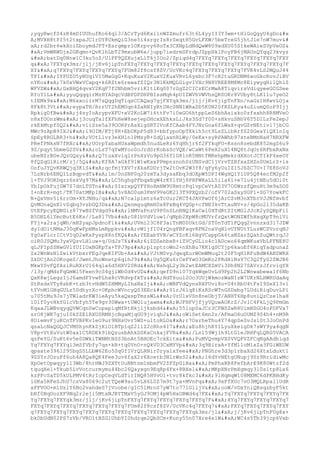 ;yqyRwcfS4zK4mDIUUhufKo64ql3/ACrTyd6Kxi1nWZZmufr63t6L4yyII3Y3wm+tHlGoQgyU4gDo&#x
A;MVXH8tPI5t2txpaJC1rDY8UkmQiG3ne5i4srgrIs8rSeqtH5GvLFXW/5beTreG5jhtJle7nW7muv&#
xA;rd2br6wkXoiZboymdJPT+Esrgmpr1OKrpvy68oTx3CXNpLdNdQwW809xdXU05S1keWAieSVpVeOS&
#xA;VmWRWDjx2GKqmn+QvKlhLbT29mxubW6e/jupp7iedrmSFrdpJZppHklPoyFB6jMAOnQYqq23kvyz

batDq0Nnw1C3ku5oZ/UlPF9QZXujxLlT6jIOo2/Zpiqd4q7FXYq7FXYq7FXYq7FXYq7FXYq7FXY
q
7FXYqk3mz/jlj/jKv6jipTnFXYq7FXYq7FXYq7FXYq7FXYq7FXYq7FXYq7FXYq7FXYq7FXYq7F
XY
q7FXYq7FXYq7FXYq7FXYq7FUm82f8csf8ZV/UcVKc4q7FXYq7FXYq7FXYq7FVK4vLS2MQuJ44
TPI
IYPUZU5yNUqiVI5MaGgG+KquKuxV2KuxV2KuxVRvL6ysbc3F7cR2tuGRDNM6xoGkcRovJiBV
nYKo
7k0xVWxVCapq+k6RZte6rewafZIQr3N1KkMQLGigvIVXc9N8VREE8M8Mc8EiywyqHilQhlZ
WFVZW
GxBHQ4qvxV2KqF7f2Nhbm5vriK1tlKq007rGgZ2CICzECrMwA8TiqvirsVdiqyeeGCGSee
RYoYlL
yyuQqqqirMzHYADqcVdBPDPDHPBIssMqh4pUIZWVhVWVhsQR0OKr8VUby8tLK1lu7yeO2
tIEMk9x
M6xxoiirM7sQqgDqTiqsCCAQag7gjFXYqk3mz/jlj/jKv6jipTnFXn/naGz1H8wvLOja
8Fk8t3Vt
eypaTH/RrrUY2hEMUqn4ZaRNIyRtUHc0NNlWRaDD5K0N20fRZLKya4uZiumQSoP9Ijj
RpkigDfBw
j4syIoArypvXFU+xV2KoLW7i6ttFv7i0eGO6htppLeS6bhAsixko0zfsxhh8R8MVeO
n8xfOOnzWm
j3cuqTa1fXFhHeW8sejepDHcxXEhksLiJks3Sd7f00+sHkvuSBhV6T5D1LzFe2epJ
rkEkMtpfSQ2
v1iSze5a39OORPrAsXlgSRTIVoKfCAab4FYJNrGoa6fLWsX+qvGZvNEtivl7jbCG
MWc9zApB9IXJ
l9OIM/KTj8R+EbUKpP5d83+bbfypoOpTXklh5ct9LsZLibRrfS2SGeaYiQX1nIq
SpEy8RGLRR3+h
VOtL1vz3eXHln1PMsyR+ZdQ1axnRLWy/0eKx+syRPAWhb97xteBMnNaH7NRXFW
PRefPNksN7fRXc
UOrpYabaHUxaWpmdh5nudLeRz6YqHhjr6f2FYkqFO+Kssn8zebdK852mgS6u9
9Z/pqyt5bmeG2SV
oLzT7qYwMYoo0oJrdSrKobsScVQE/wCaWt6PeX2uX14NQ8tJqOr6RFbxRxNx
ubeNZrBUeJQzGQxy
Q7tuxXviqlrPnXzVo9pG36Y1G81nR5NNtfMKehpMekrdXXotJCTIkF4xeOY
8fQZqGlRirM/zj/5Q
Kf8A7aGkf91W1wKxxPPmpnznoh0zUNSvdC1jVrvTZBfxaZHZn0UmLrZ+is
OofuJYQvKRWQjq3KlS
qcfmjYXV7rXkaKDUrjTw2tOvK2W3Y8/qFy6yUuIZ15J6ZC7U+I7E8SoVJ
7LzNrb6ENQ1LzBqpvdT
1m/0nSNP0q20zmTa3dysaKbq3dOXpW5DPI4WgHQ1YlUP5Q84ecfM2p2f
l+TVJ9ORDqzz6skVg97M
LC5hghgPFbqxEgW4rKY1YHj8PHFWRaLL5i1a61+e71u4jtNEu5dOi0t
YbIpOkFujGW7Z7dnLTGTn
SIxrxpQYFYHoXmHW9U8mtcPq1vpCeVtA03V7O0WzsfQmuHt3m9aSOS
I+nErR+mgt/TK70atMKp1B
5v8AO0um3PmV9VeGK213T9PXQzb2/ofV702aSxySGP1+SG7YowkFC
N+QxVmv5l6rrOm+XYJNHu/q
N7calp1mtz6aTcUur2KCT4JAVPwOf6jArCZvM3nXTbrVJJNfmvbf
QvMOnaQsE1vZqbq3vzbGQ3Dx
QxnmguqRmH0x8PxBq4VQGp+cfNE3kvTtauNV+s/4pGo2l35daKB
UtEFpcyEQNGiz87YwBZfVdgd9
lNMVaPnzU9P0nSLnRNQ1KaCwl0XTdRtZItMGlJJcR2ySQBpFi1
B5DHL6lYmcButE6Ks//La817Vb
G81bVdVluw1/qNpb2XpW8cMUVrfzQxtWONZWfhHxqXpT9nlVi
FYj+a2rajqWh/mHZyapJpdnoFik
UVmi23C8F3aiTnM00UktGd/ST0nTdT1PQqq2vnnzxd317JZW
dyIdO1tNMaJ30qKwFpHMsLmRppkv
vWljf1U4rQngFBFaqvRPN2naVqHlvUYNUtYLuzWCSVorqNJ
Yg0aFlcrICtVIqD2wKxPyspX8nfKQ
YEEabYVB/wCYZcKl6HgVCappGk6taNZarZQahZuQWtrqJJ
oiR0JSQMu3yxVQsvLHluw+q/UdJs7X
6iZDZehbxR+iZVCyGLio4c1ADceo64qmWKuxVbLFFNE8U
qLJFIpSSNwGVlYUIIOxBGKpTa+TPJ9p
p1zptroWn2+nXhBu7KK1gSCYjp6kaoEf6RiqYadpunaZ
Zx2WnWsNlZwikVtbxrFEgJqeKIFUb+Ax
VJtM0vyJqeqXurWOmWMuq2t20F5qH1RFuBdW4ANZWRX
ZkDCjAn2OKogeS/JwmtJhoWnetp6qlhJ9
Ug5QKu6rCeFYwO3GmKo2PRdHiNsY7C3Q2TyS2ZWJB6
MkwYSvFQfAziRuRXrU164qla6d5HXV20Rd
NshqL2y3b2wtEAMCXZmVi3Dh8N27SAVrzJfrviqYX
/l3y/qMdzFqGmWl5Feen9cS4gjlWb0d4vUD
qefD9nl07YqkWqeUvLd9Pp2h2L2Wnwabewa1f6Nb
QxK8wjLegzIjJ6amdFYvwPLhx8cVRdvpfkTz
HdT6uul2Oo3UUjWkmozWaNIzW7UKrNLHWRUdaAq
StRsdsVTy8sbK+tzb3tvHdW5ZHMMyLIhaNxIj
cWBFVdQynsRXFUvi8o+U4tRbU4tFsI9SeX13vl
tYVnM1GHqGULz50dhyrXc+OKphcWVncyQS3EEc
0lrJ61q8iKzRScWTnGSDxbg7LUdiRiqDuvLPl
u705tMu9Js7jTWladrKW3ieAyu5kaQxspTmzsWL
UrU1xVSn8neUbjT/ANHT6Hp8uniQzCze1haH
1D1f0yvHkfGlcVbfyh5Te9gv30Wwa+tUWO1ujawm
WJFHFVjfjyVQuwAOKrZ/JvlC4FkLjQ9PmGm
KqaaJLWBvqyqQVWCqn0wCopxpiqMfRtHkjljksbd4
551up0aJCr3CFWSZwR8UimNSGO4oPDFVa7
srO8jWK7gjuI0kSZElRXUSRMHjcBgaMjqGU9jviqhJ
oWiSet6mn2z/AFmaO6uOUMZ9S4h4+nM9R
8UiemvFjuKCnTFVBPKvleO9ur9NHsUvr5WS+ultoRLO
r7OsrheThu4Y74qpSeSvJsl0t3JoOnPd
qsaLcNaQGQJCVMShynKkZjXiO1BTpiqZ2llZ2cRhs4I7
aEu8hjhRY1LyuXkeigDk7sWY9ya4qgN
V8p+VtXuVutW0ax1C5RDEk91bQzusbAhkDSKxCnkajFVR
/Lnl59Wj1h9LtG1eJRHFqLQRG5VACA
qzFeYG/SuKt6v5e0DWkiTWNMtNSS3bnAt5BHOEc7ckEitx
PuMVQvmpVXSVVQFVZFCqNgAAdhiqd
Yq7FXYq7FXYql3mSfVbfy7qs+kR+tq0VnO+nQkVD3CxMYVp
3q9BirxA+YfM11oMlxZa3FGiWEUW
qpaate396l295bgSSLLbW62Eo5Sq0fIVrQLRNir0ryalxYee
PNGhre3d3p1rbaXd26XtxLdukt1
9ZSYrJOzuFf6uh4A8Qa8QK4Fee3uv6faX2r6Xcetb3N1rWsS2
16dYvNEtgUNupj9Sz9RridiwMc
XpOetOpwqyy113Wb/8hrHWJ9ZXTtUuNNtnm1mbmFV2ZFZpGiBa
PmPhaRR8FefbArE9K80Wtzf2d
tquqXel+Tkub5LvVotcurmymu44bc26Qayxgn9Eq8p4Fx+8BXel
MKpXNrPmXgmqy3l0sltp8Lx6
kzPFcSaTD5kULPMV4tRrIcpCeqVLdTirINQ85HVvO1+tvr8kfkc3
9lHqmqW108MEMC6dPKBHdKy
iGKa5RFeSJhU7csVa8069c2utTQeW9au5vLX6L0Z7m9t7ya+MVnPq
9xFfXUc7vO3MQLRpallUdR
xFFVOO+m1DzlY6No2vahdeS7jVoobe/g1C5lMrnS7yW7to771GlljV
ooW/vDxYniQRsqzbyF5kt
bRf0BqOozXF9Nq2r2eji5MtxNJBYTMxV5yGJ9OMj4pW5HxOBWd4q7FX
Yq7FXYq7FXYq7FXYq7FX
Yq7FXYq7FXYqk3mz/jlj/jKv6jipTnFXYq7FXYq7FXYq7FXYq7FXYq7F
XYq7FXYq7FXYq7FXYq7
FXYq7FXYq7FXYq7FXYq7FXYq7FXYq7FUm82f8csf8ZV/UcVKc4q7FXYq7
FXYq7FXYq7FXYq7FXY
q7FXYq7FXYq7FXYq7FXYq7FXYq7FXYq7FXYq7FXYq7FXYq7FXYqk3mz/jl
j/jKv6jipTnFUg8x+
bk0bUdN02PS7zVb/VRO1tBZG1UhbYI0hdrqe2QbSCm+Kony55n07Xre4e1W
WC4s5Tb39jcp6Vxb
 